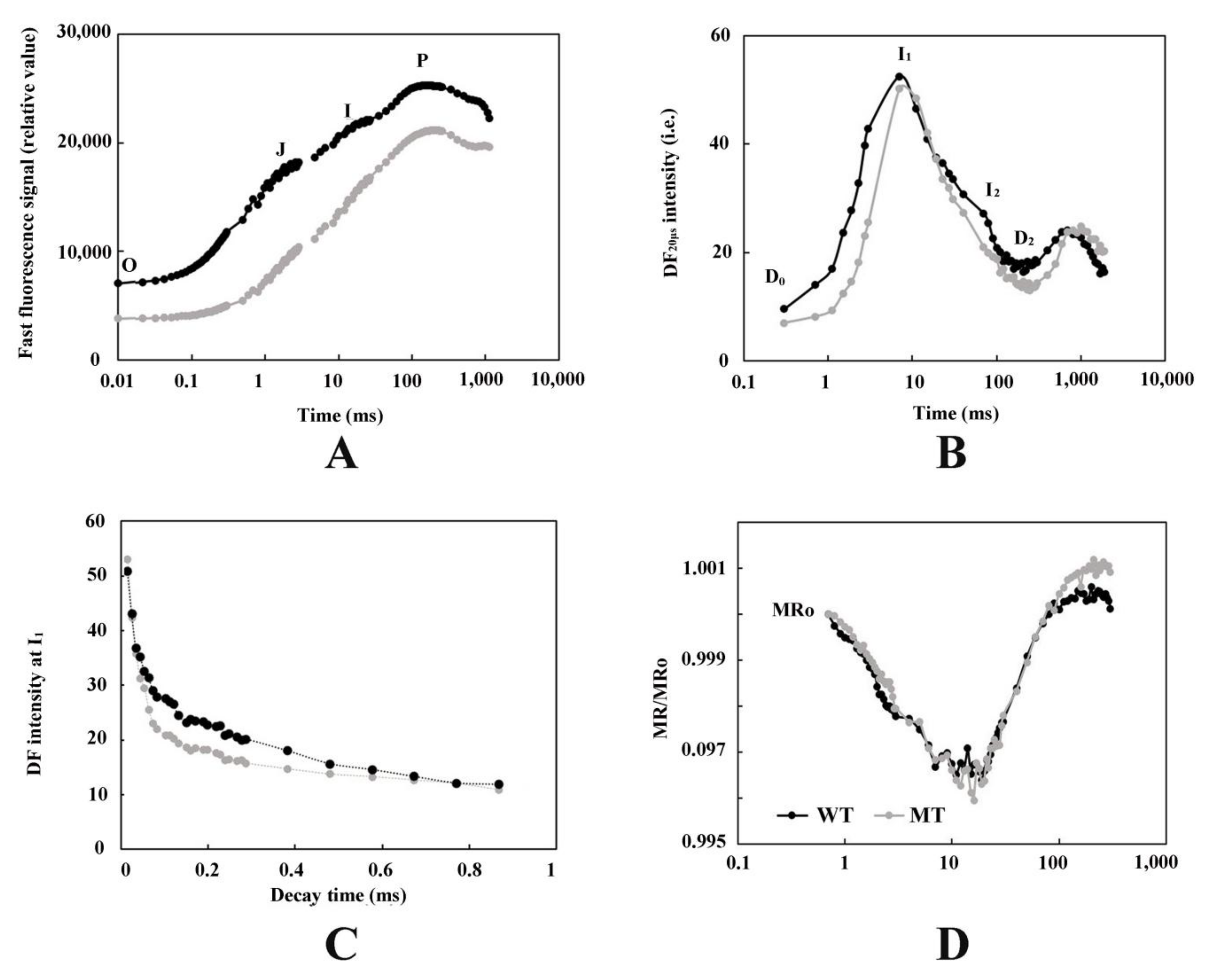 Cells 11 00431 g002 Cells 11 00431 g002