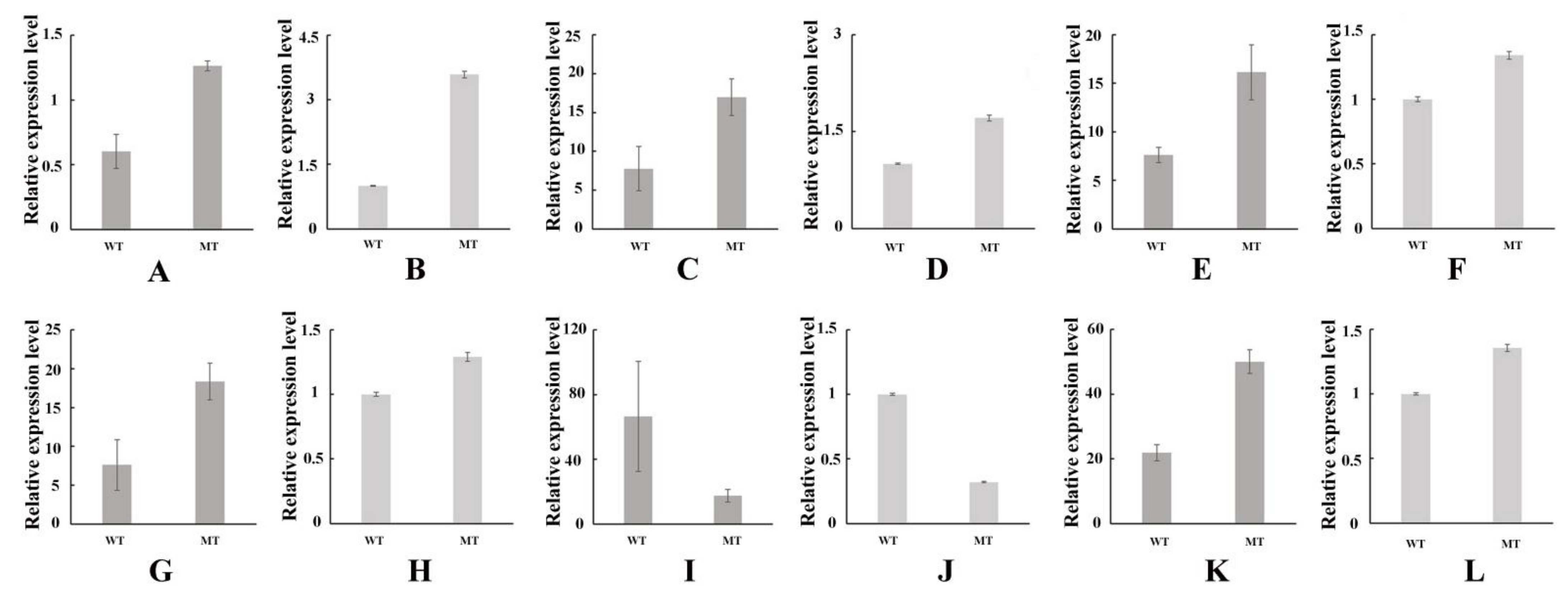 Cells 11 00431 g005 Cells 11 00431 g005