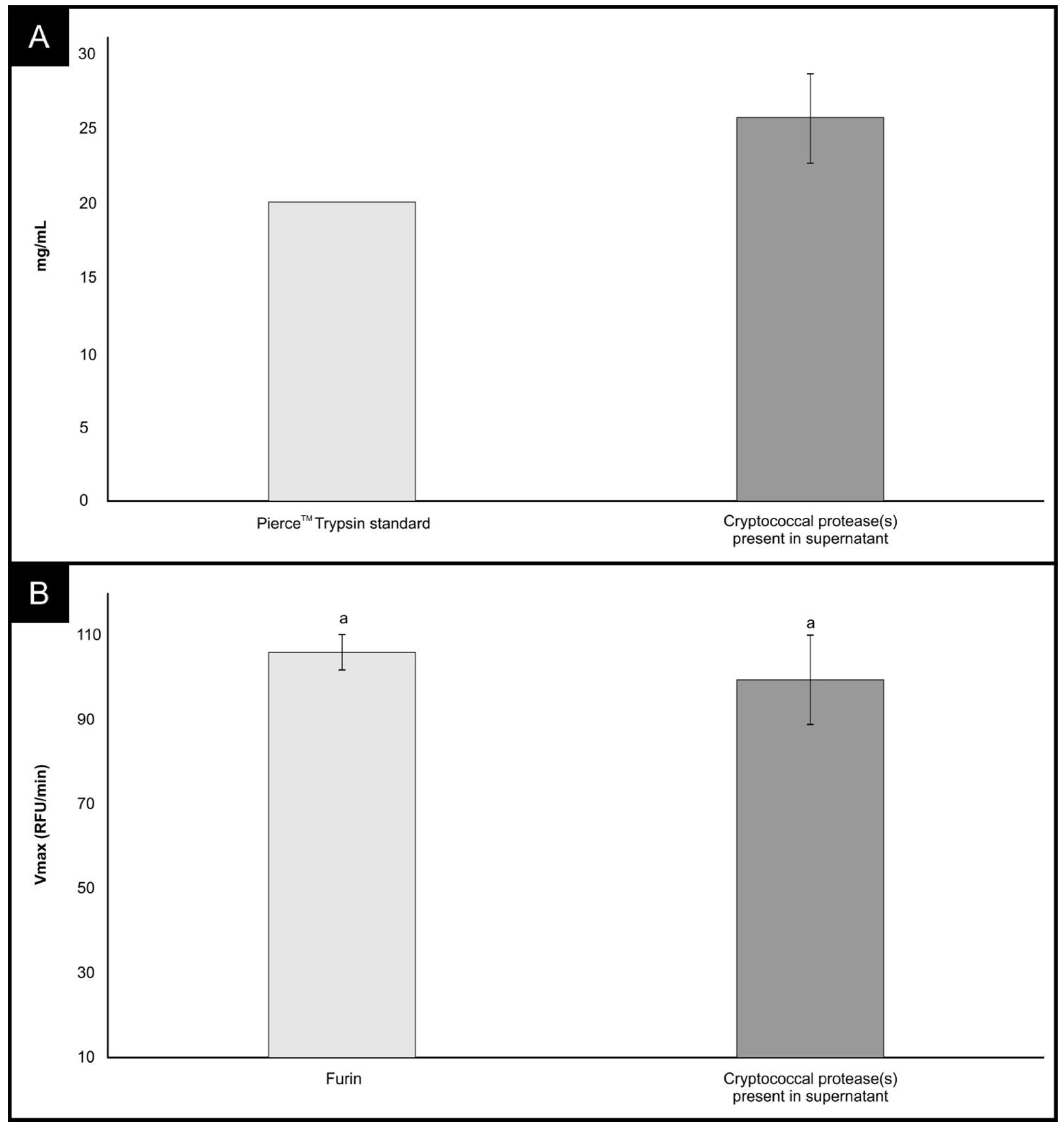 Cells 11 00437 g001 Cells 11 00437 g001