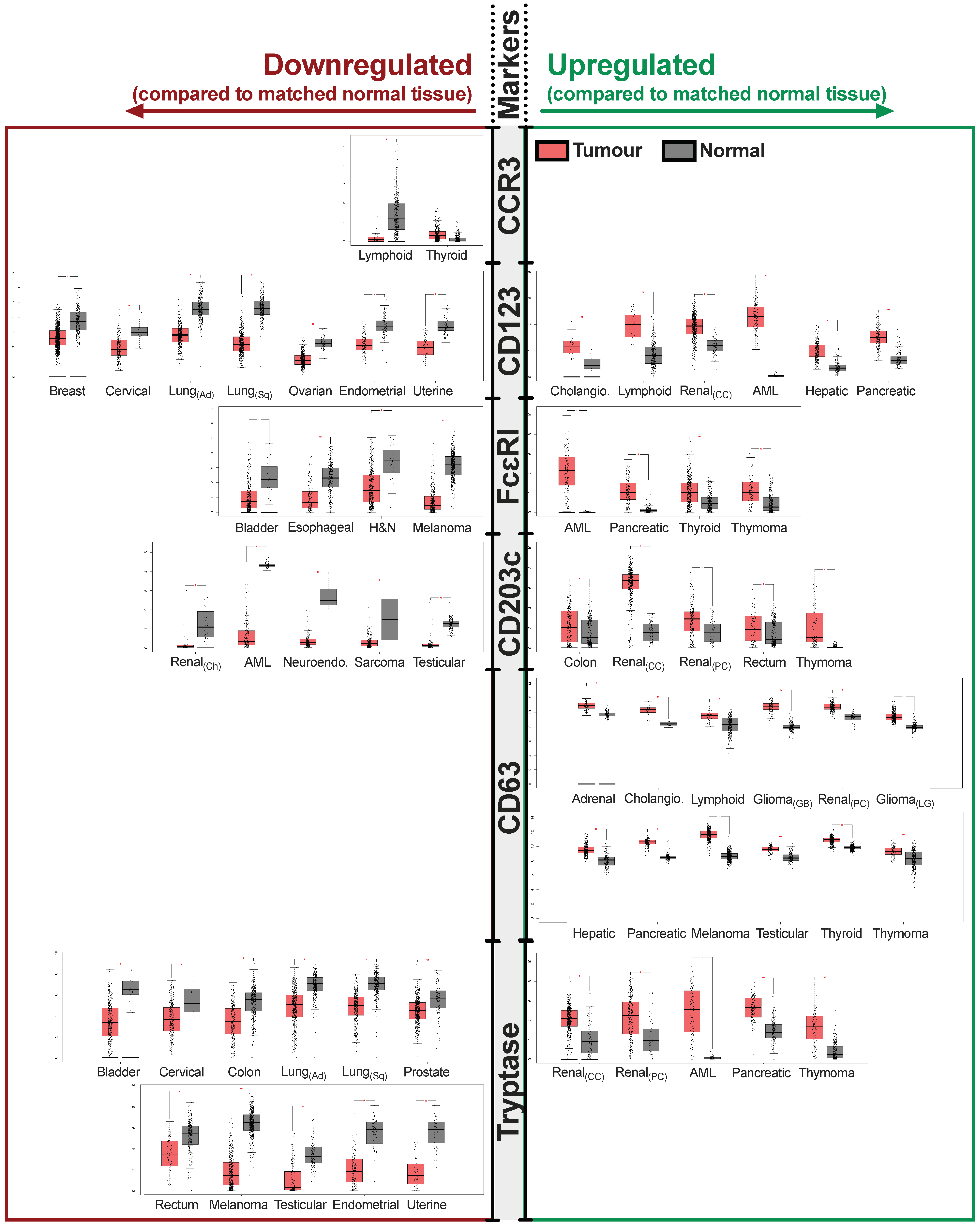 Cells 11 00438 g001 Cells 11 00438 g001