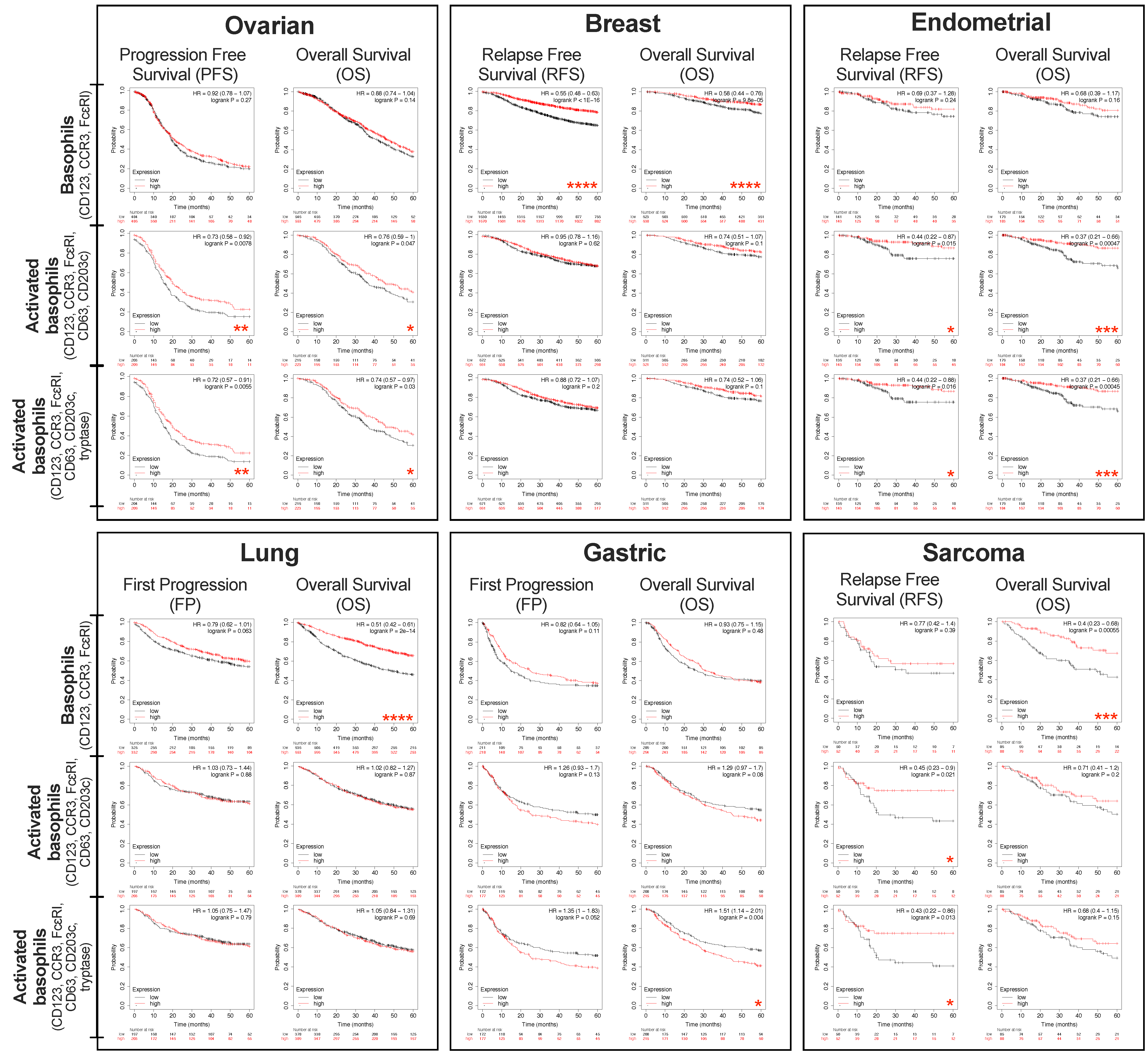 Cells 11 00438 g002 Cells 11 00438 g002
