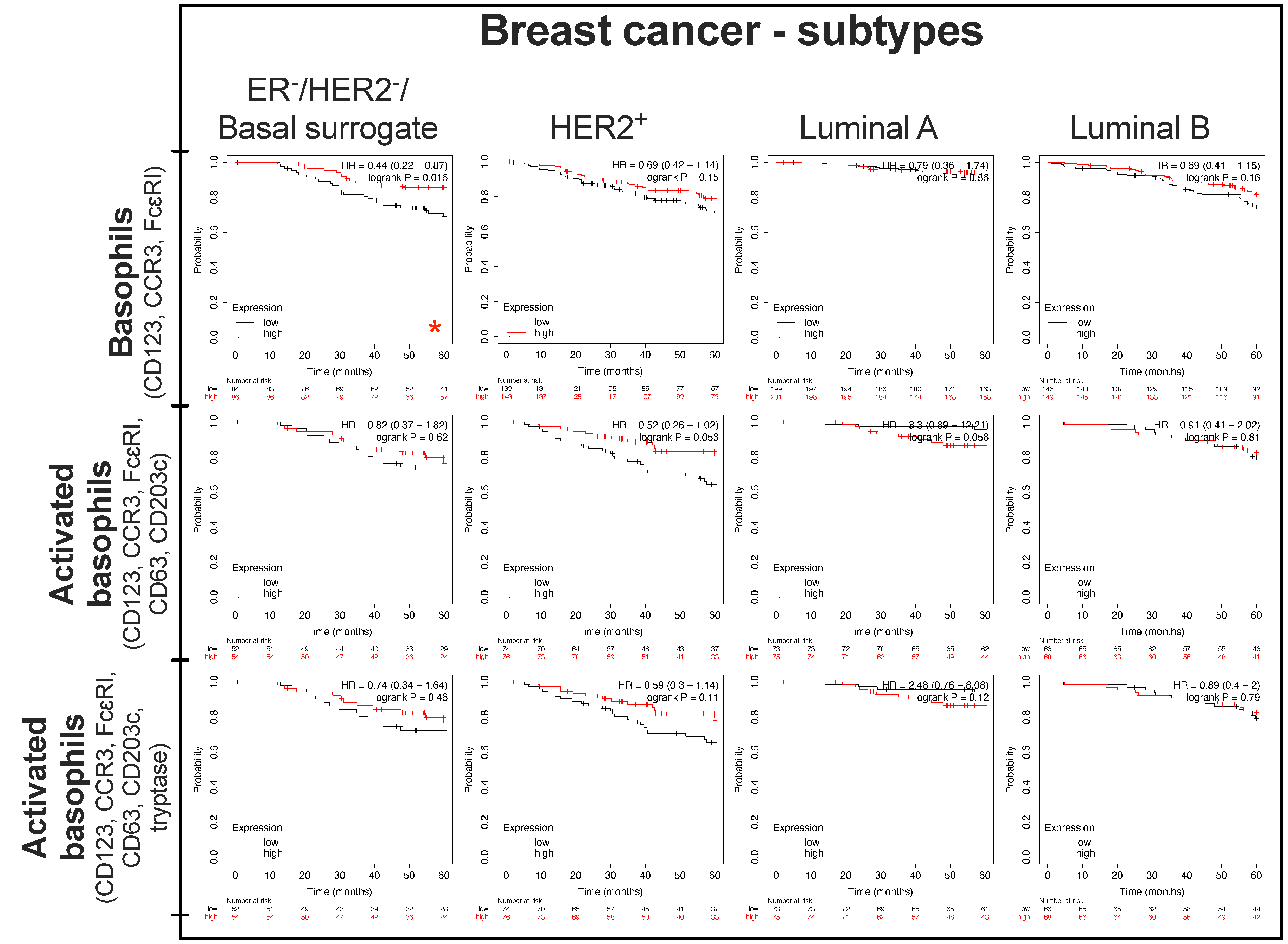 Cells 11 00438 g003 Cells 11 00438 g003