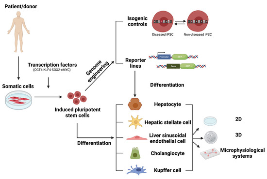 Current Status and Challenges of Human Induced Pluripotent Stem Cell ...