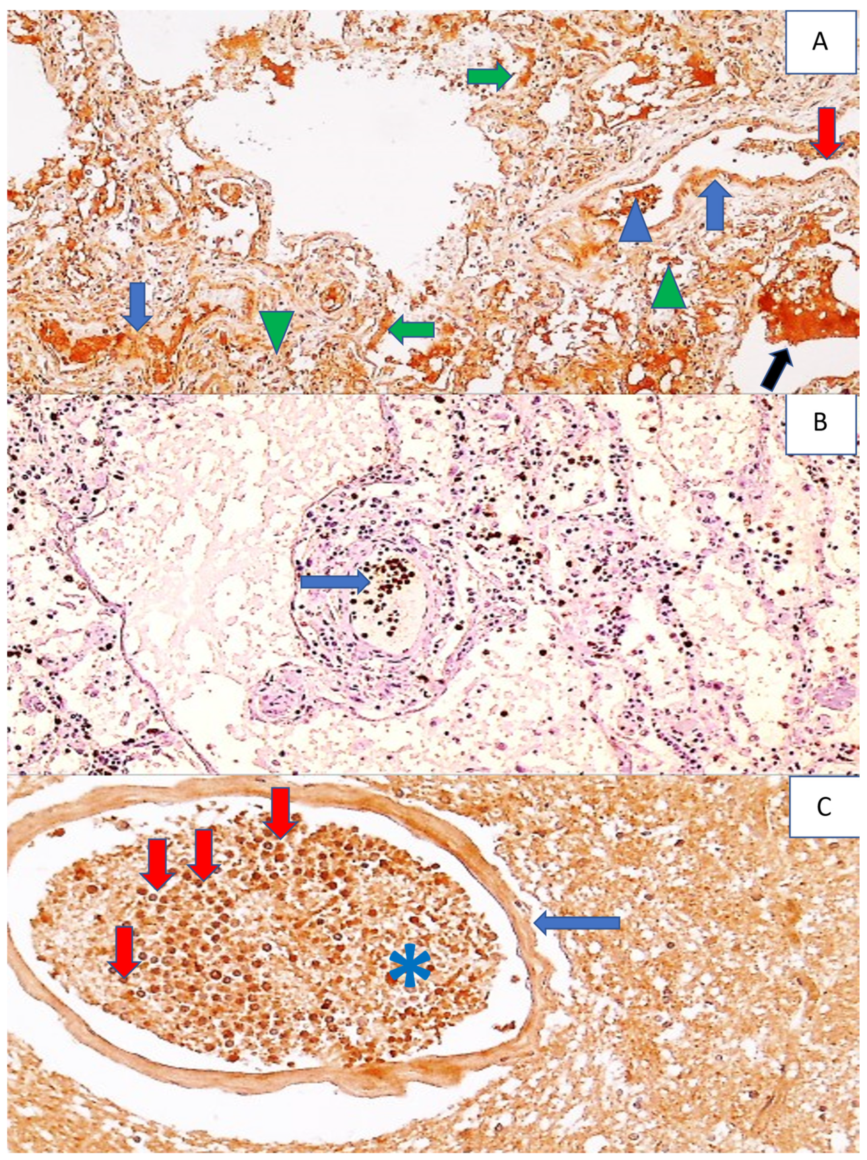 Cells 11 00444 g006
