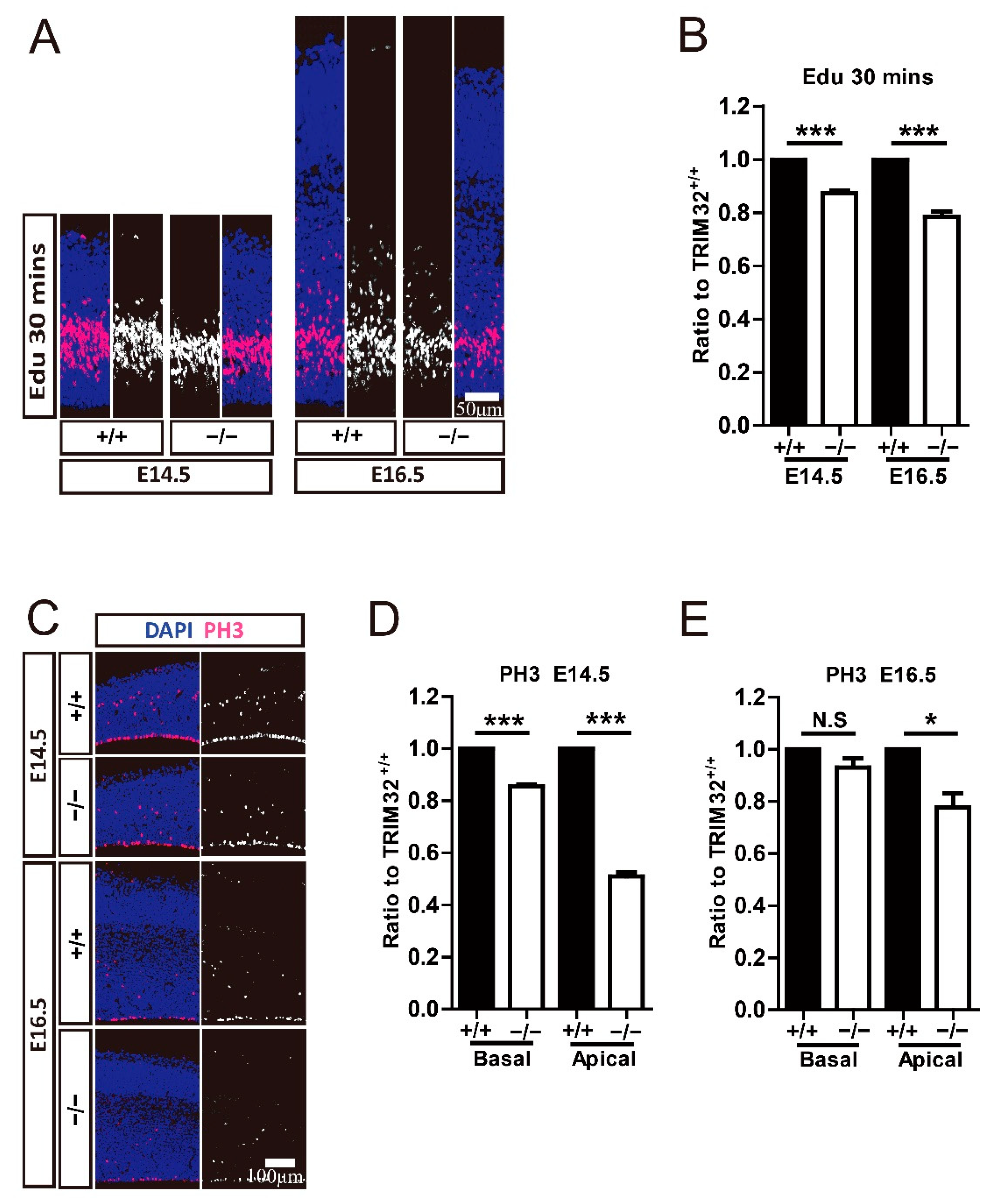 Cells 11 00449 g006 550