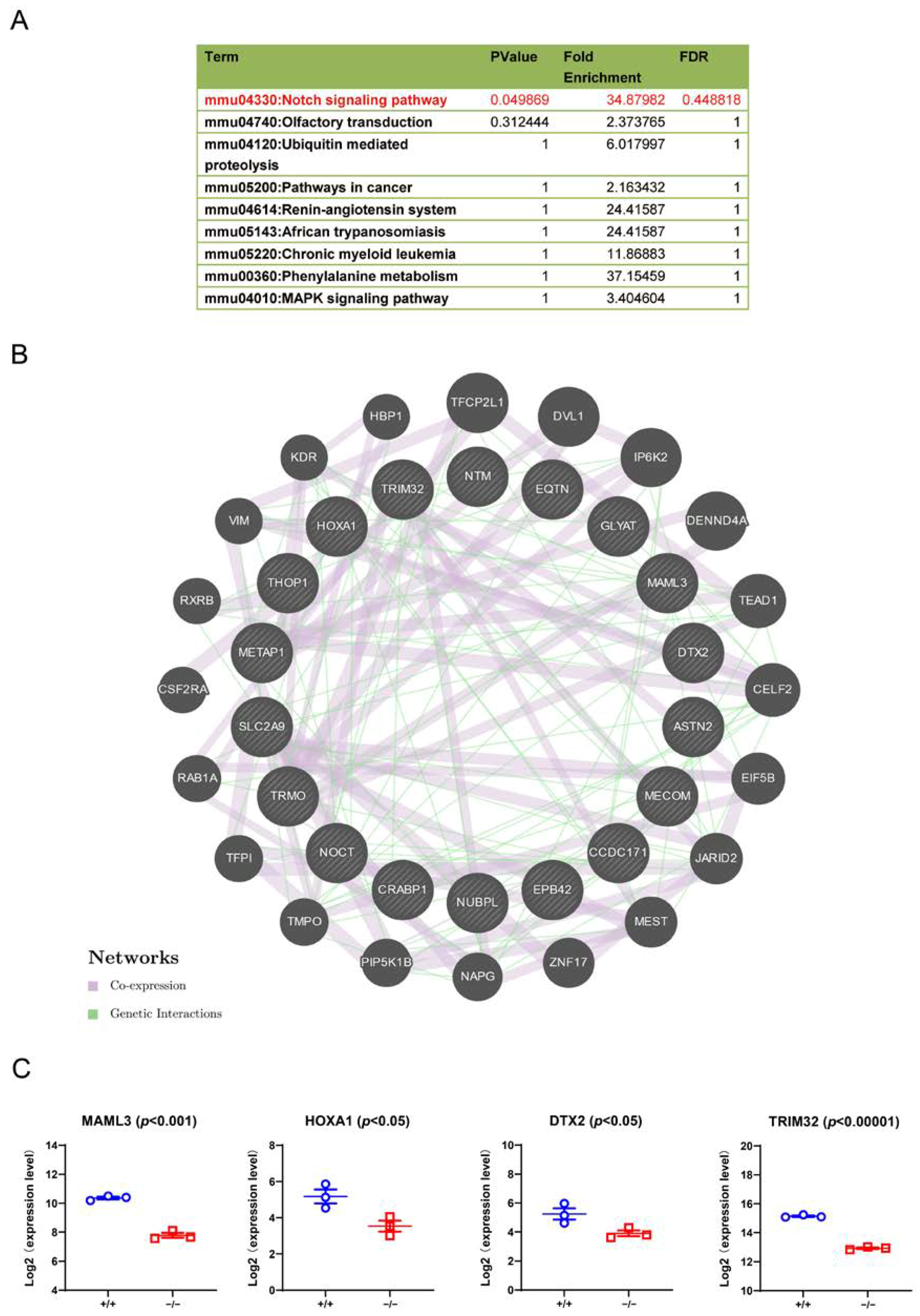 Cells 11 00449 g008 550