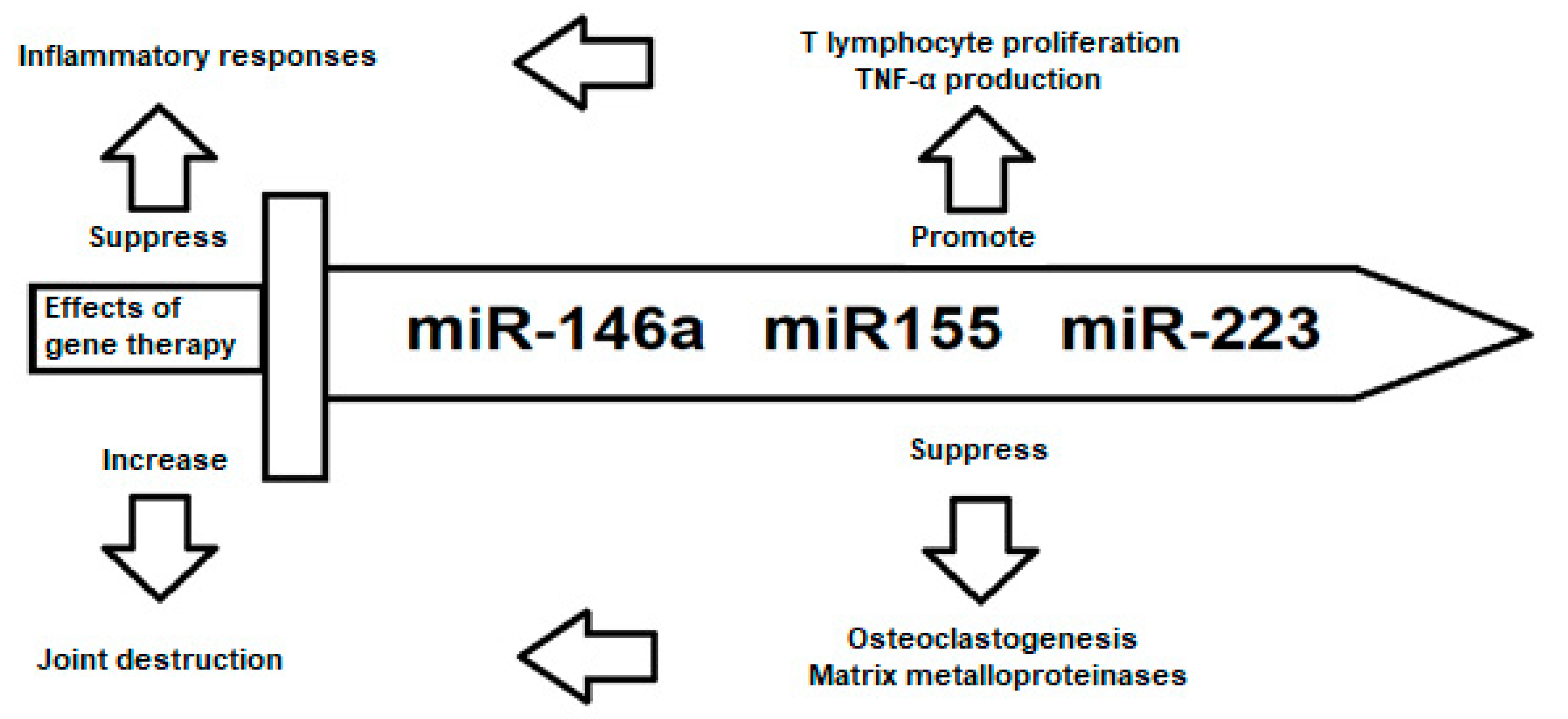 Cells 11 00452 g003 550