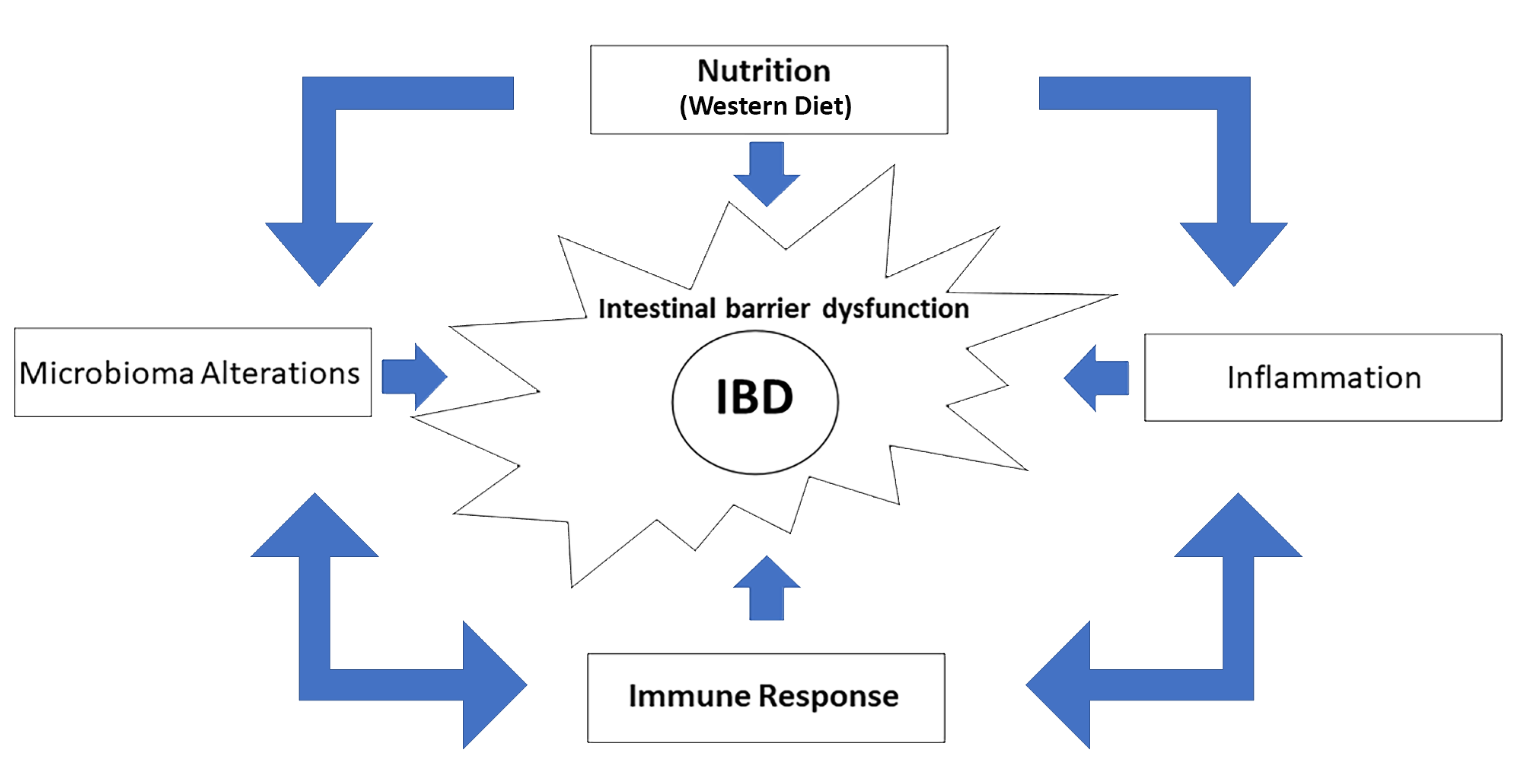 Cells 11 00455 g002 Cells 11 00455 g002