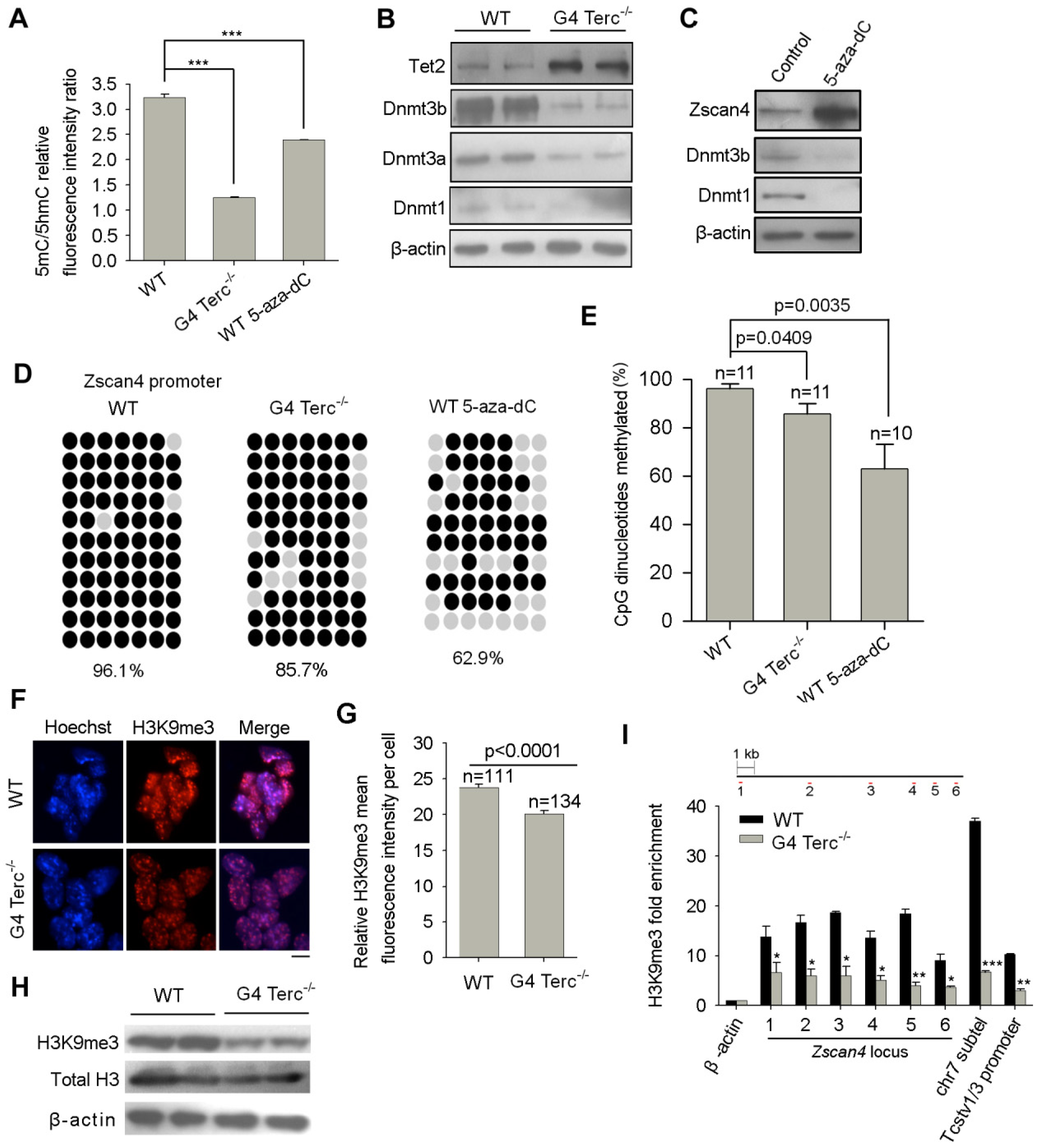 Cells 11 00456 g003 550