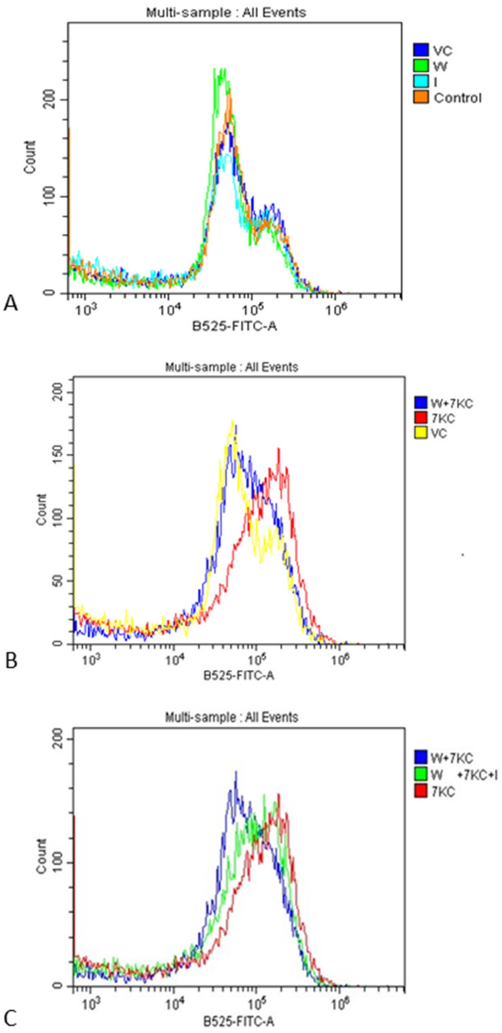 Cells 11 00457 g004 550