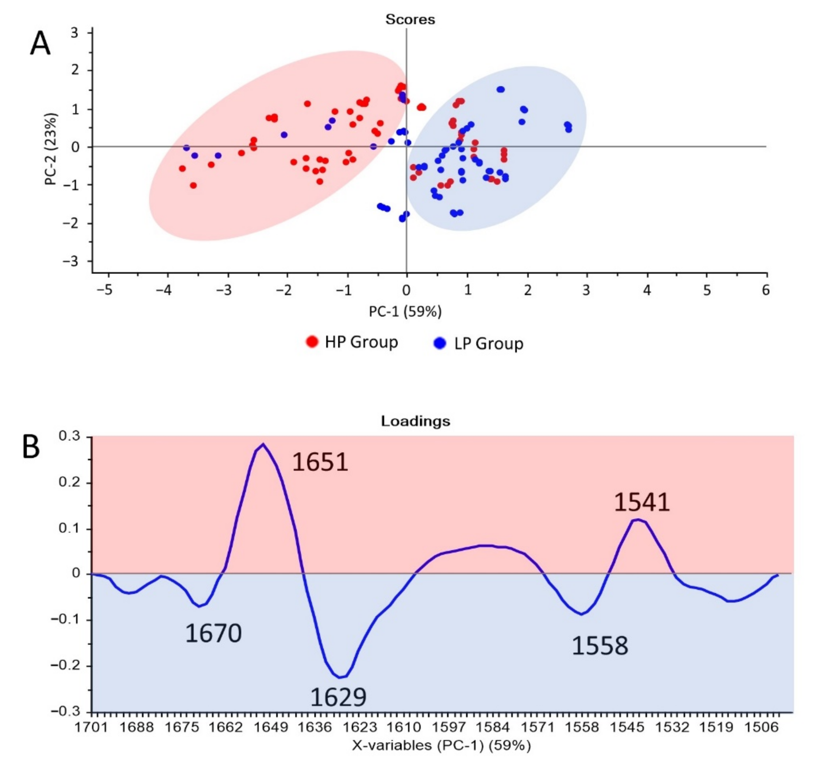 Cells 11 00458 g005 550