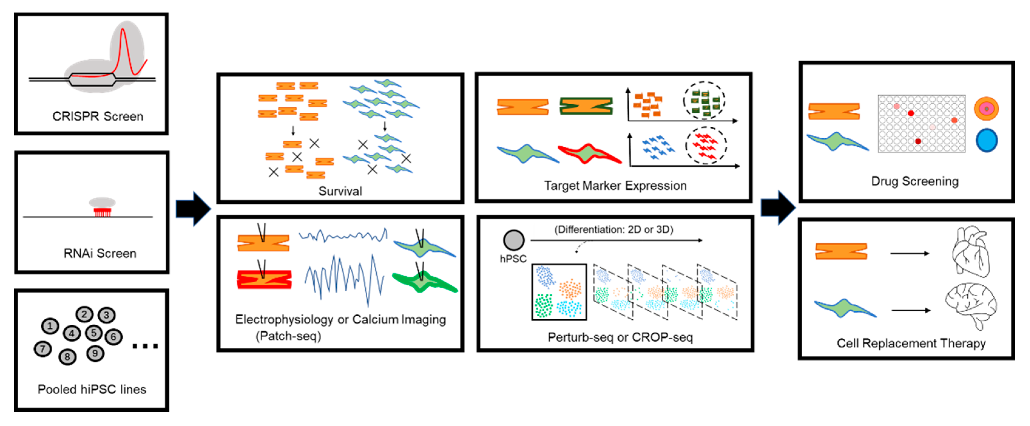 Cells 11 00460 g003 550