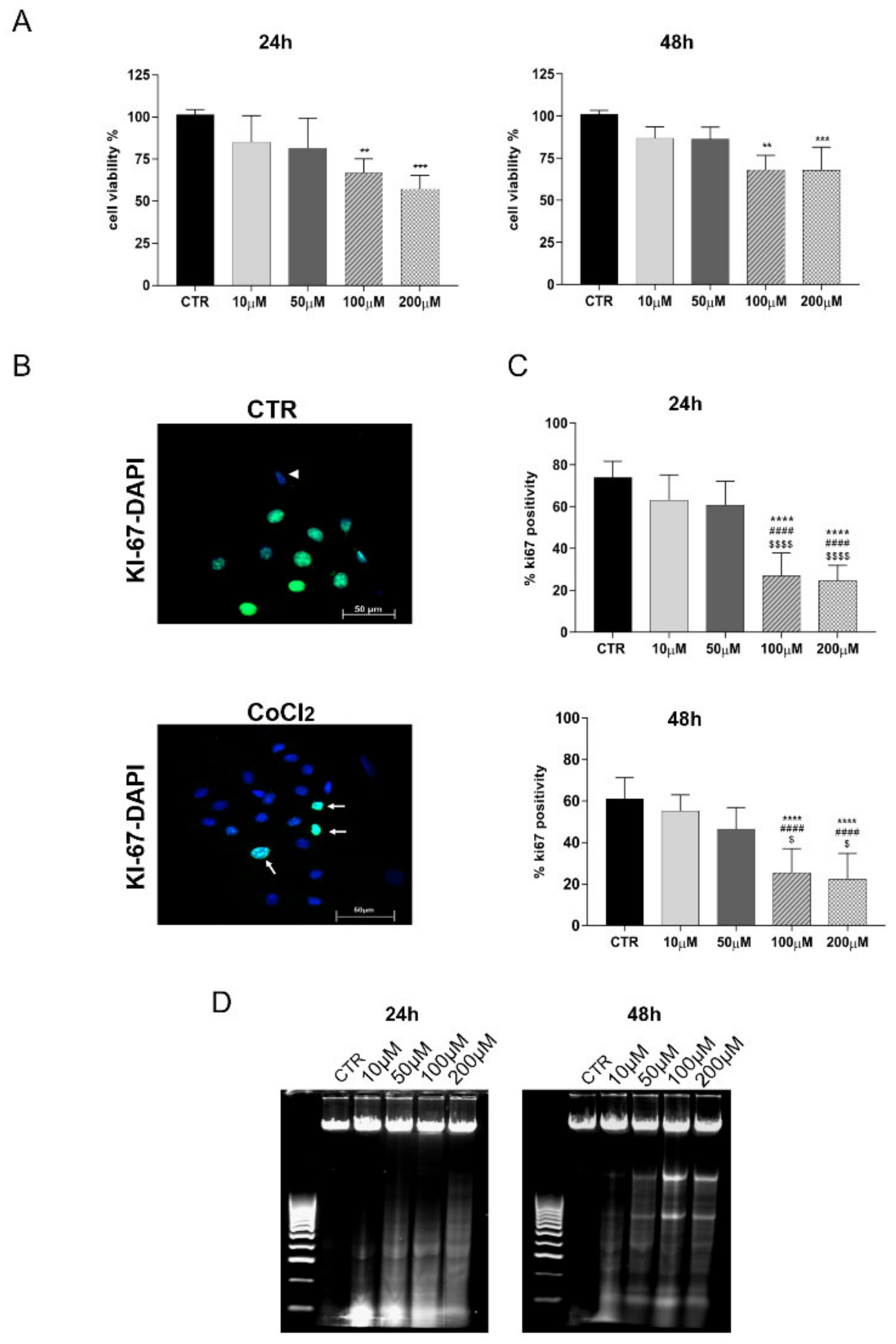 Cells 11 00461 g002 Cells 11 00461 g002