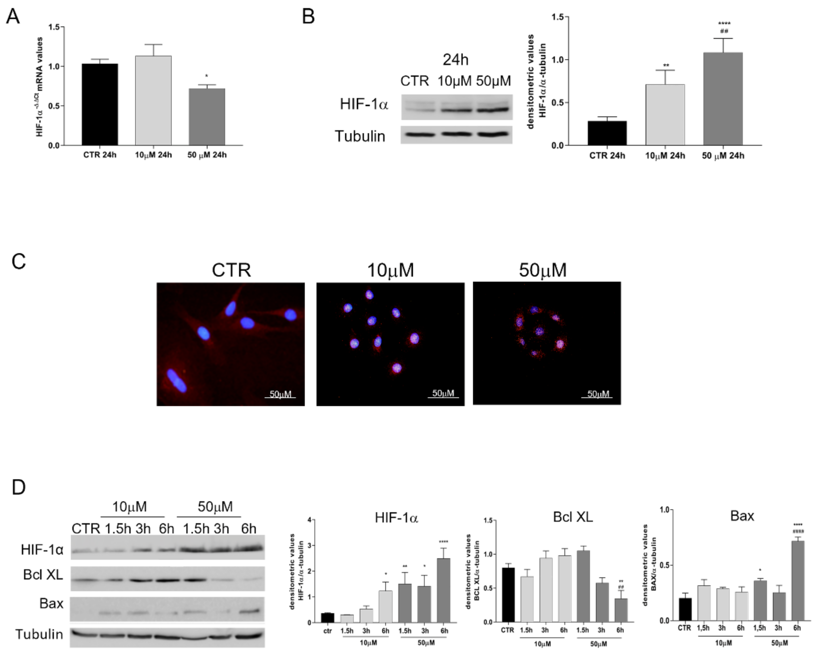 Cells 11 00461 g003 Cells 11 00461 g003