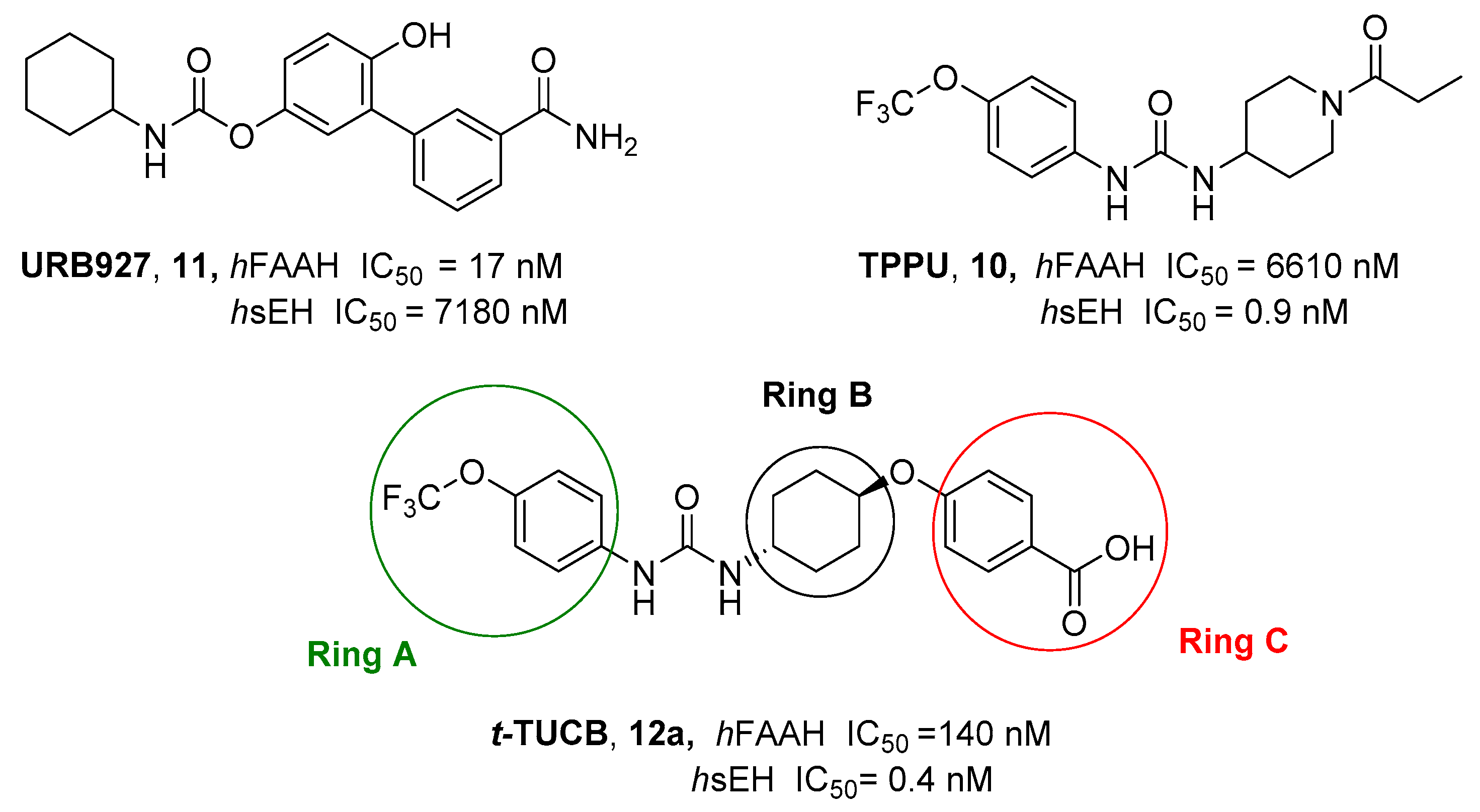 Cells 11 00471 g003 Cells 11 00471 g003
