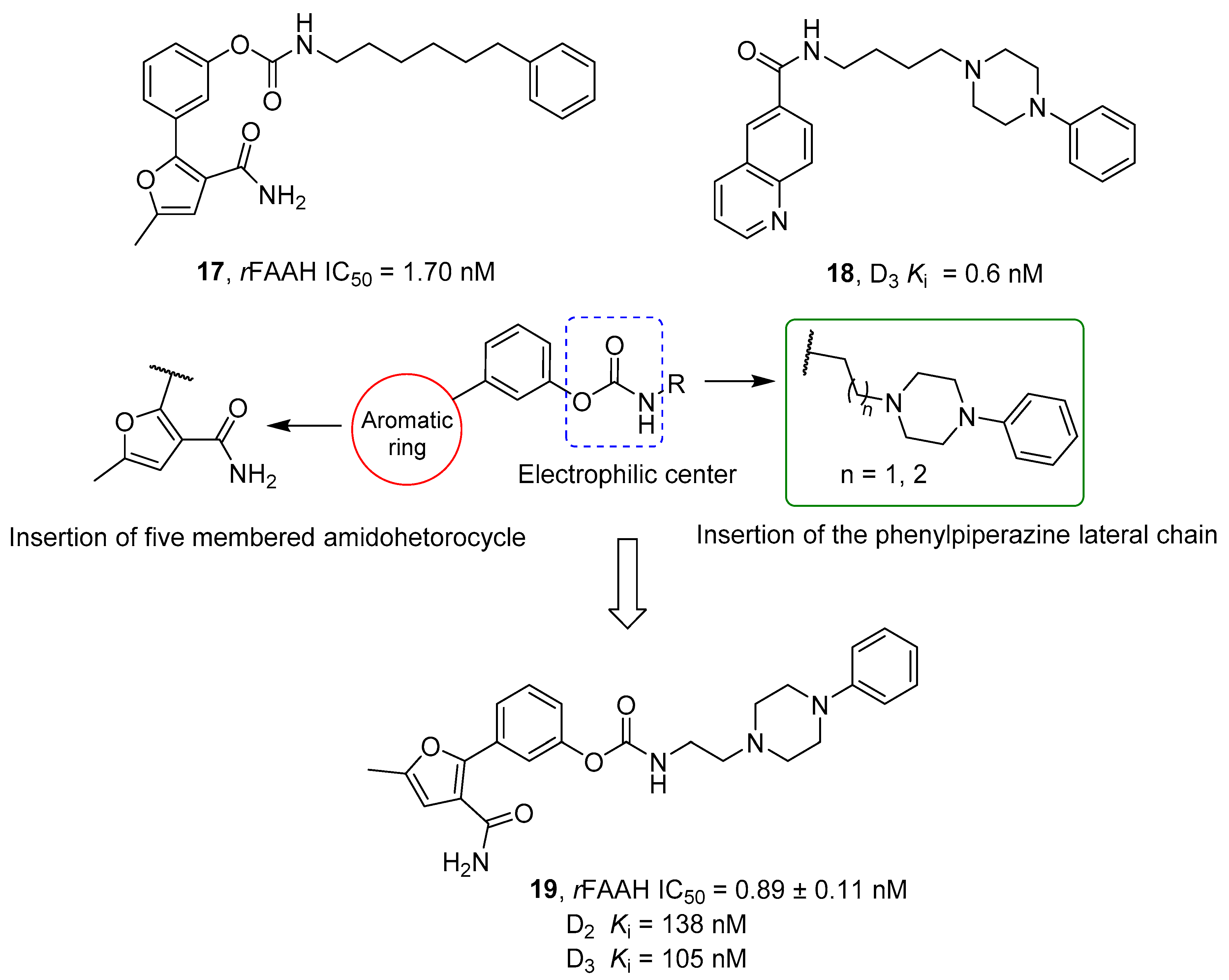 Cells 11 00471 g005 Cells 11 00471 g005
