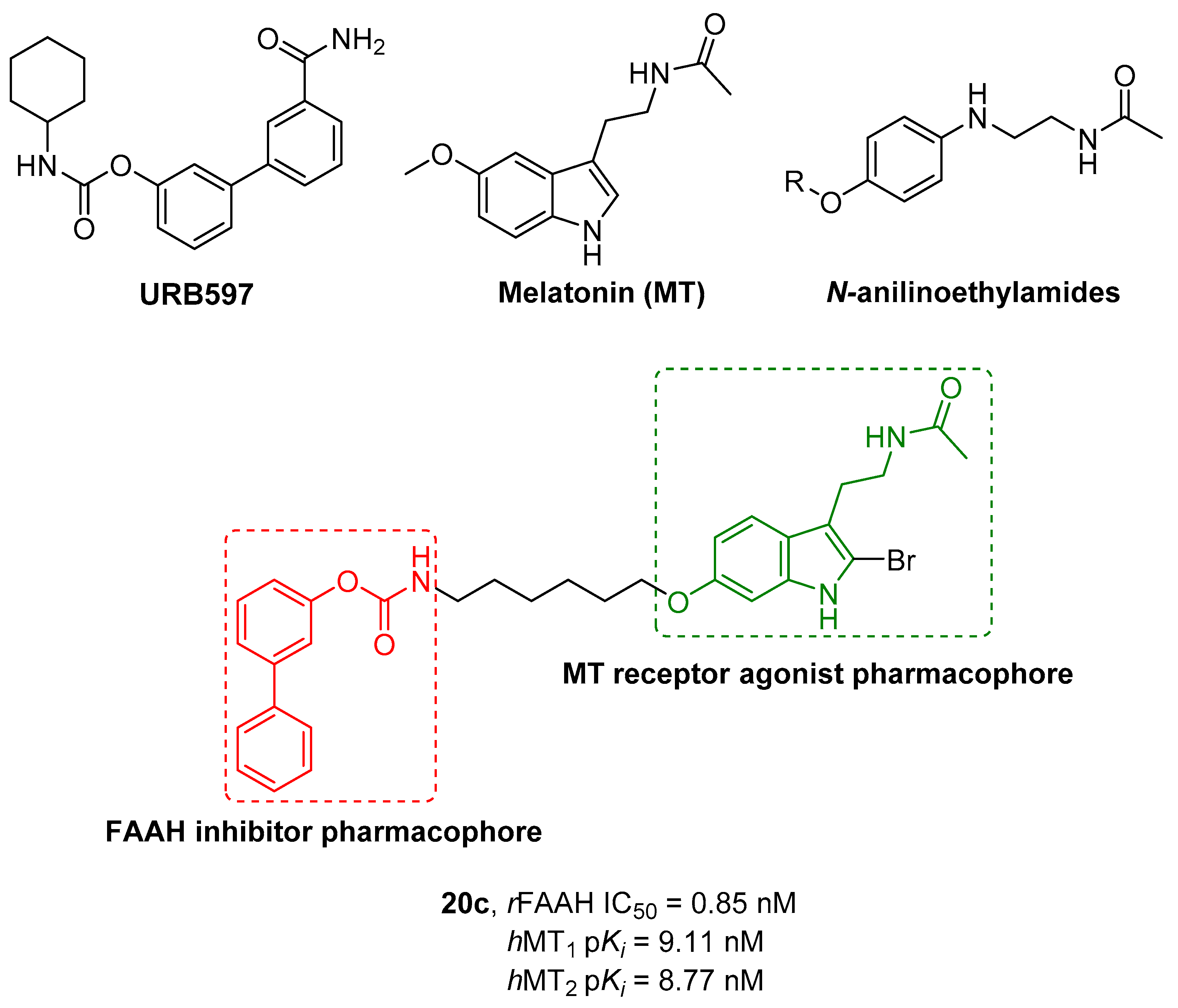 Cells 11 00471 g006 Cells 11 00471 g006