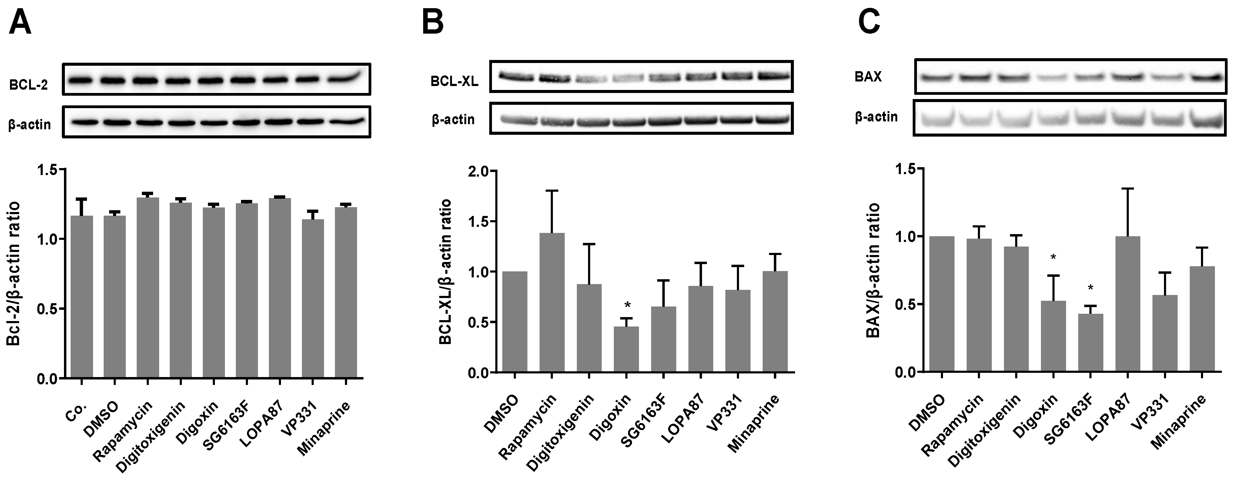 Cells 11 00474 g003 Cells 11 00474 g003