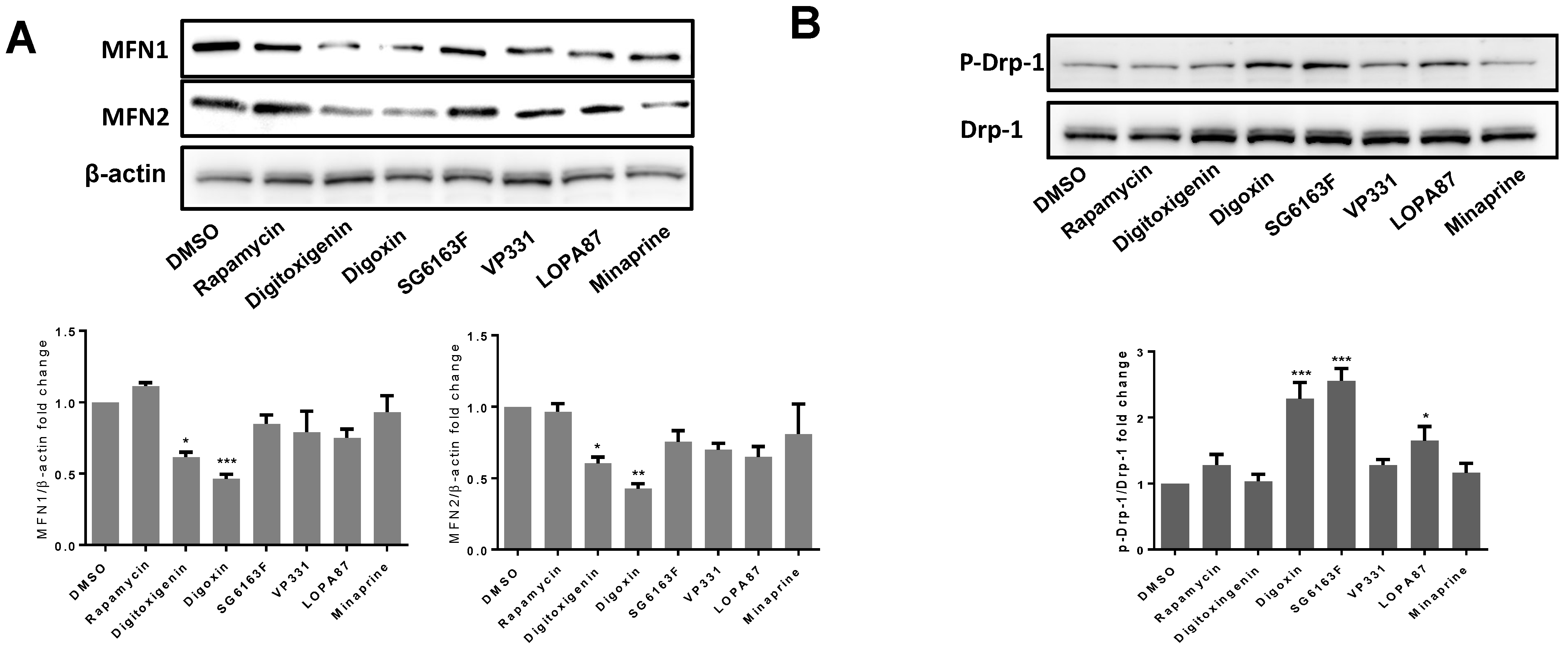 Cells 11 00474 g007 Cells 11 00474 g007