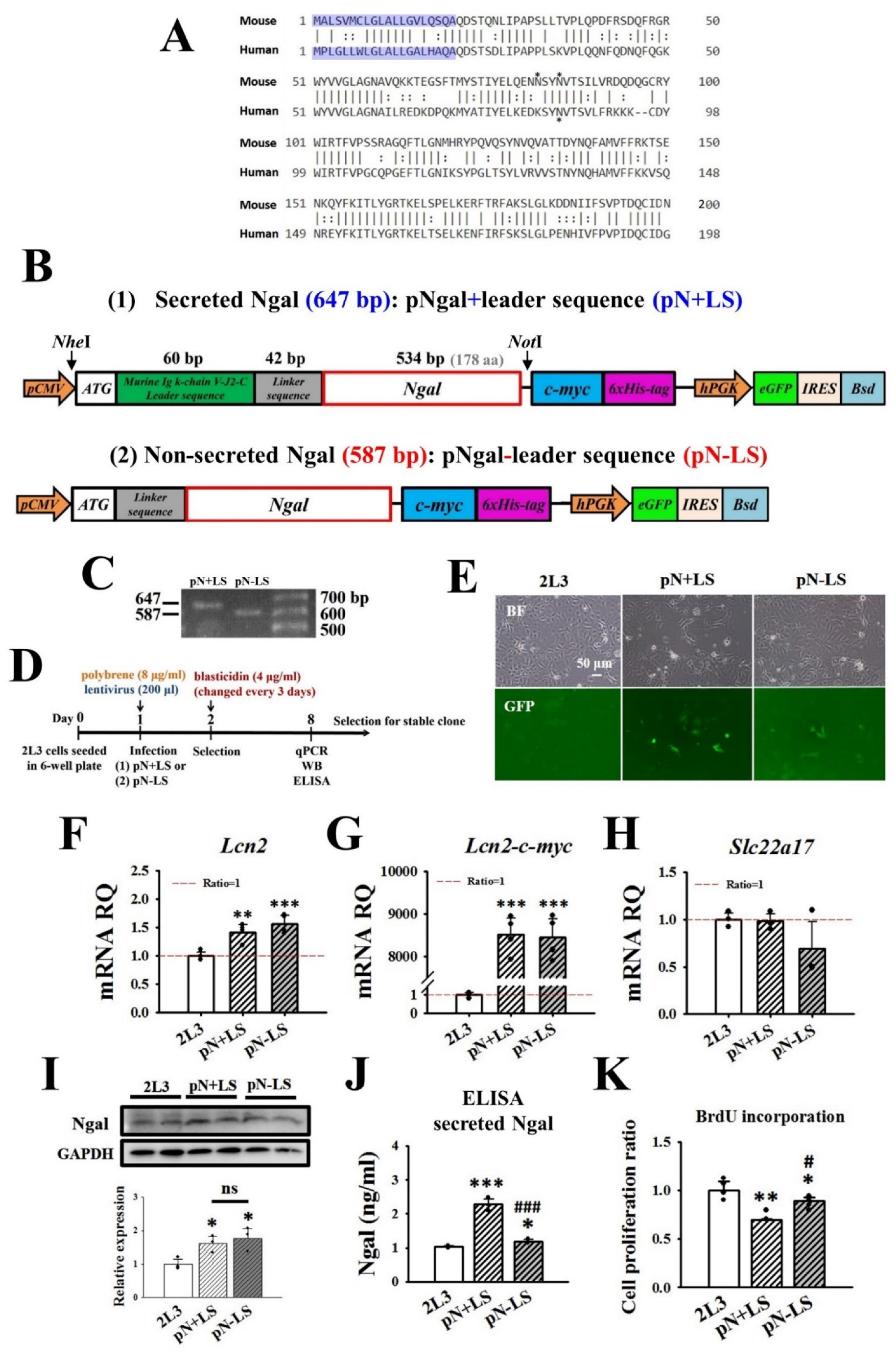 Cells 11 00483 g007 550
