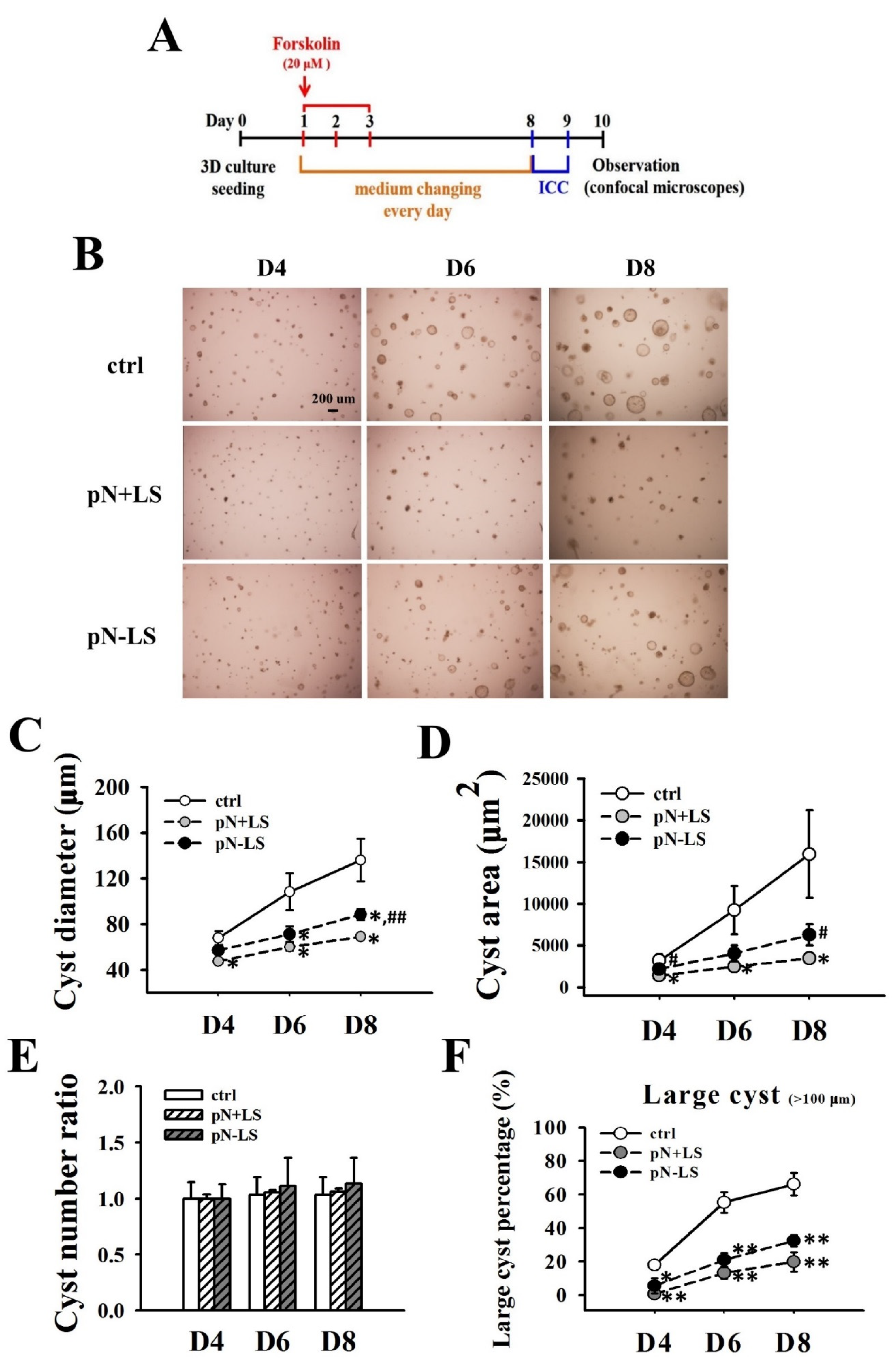 Cells 11 00483 g010 550