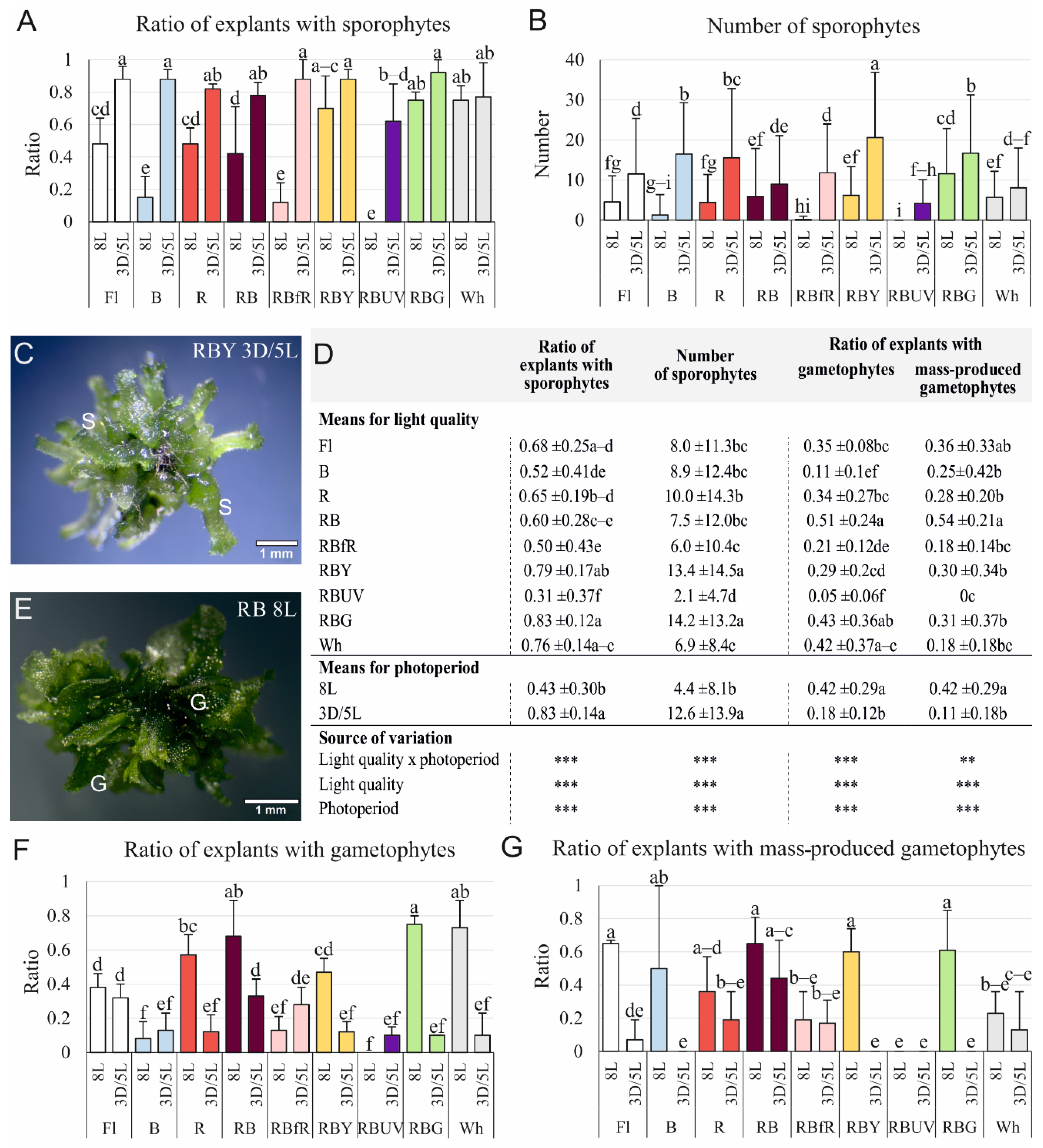 Cells 11 00486 g001 Cells 11 00486 g001