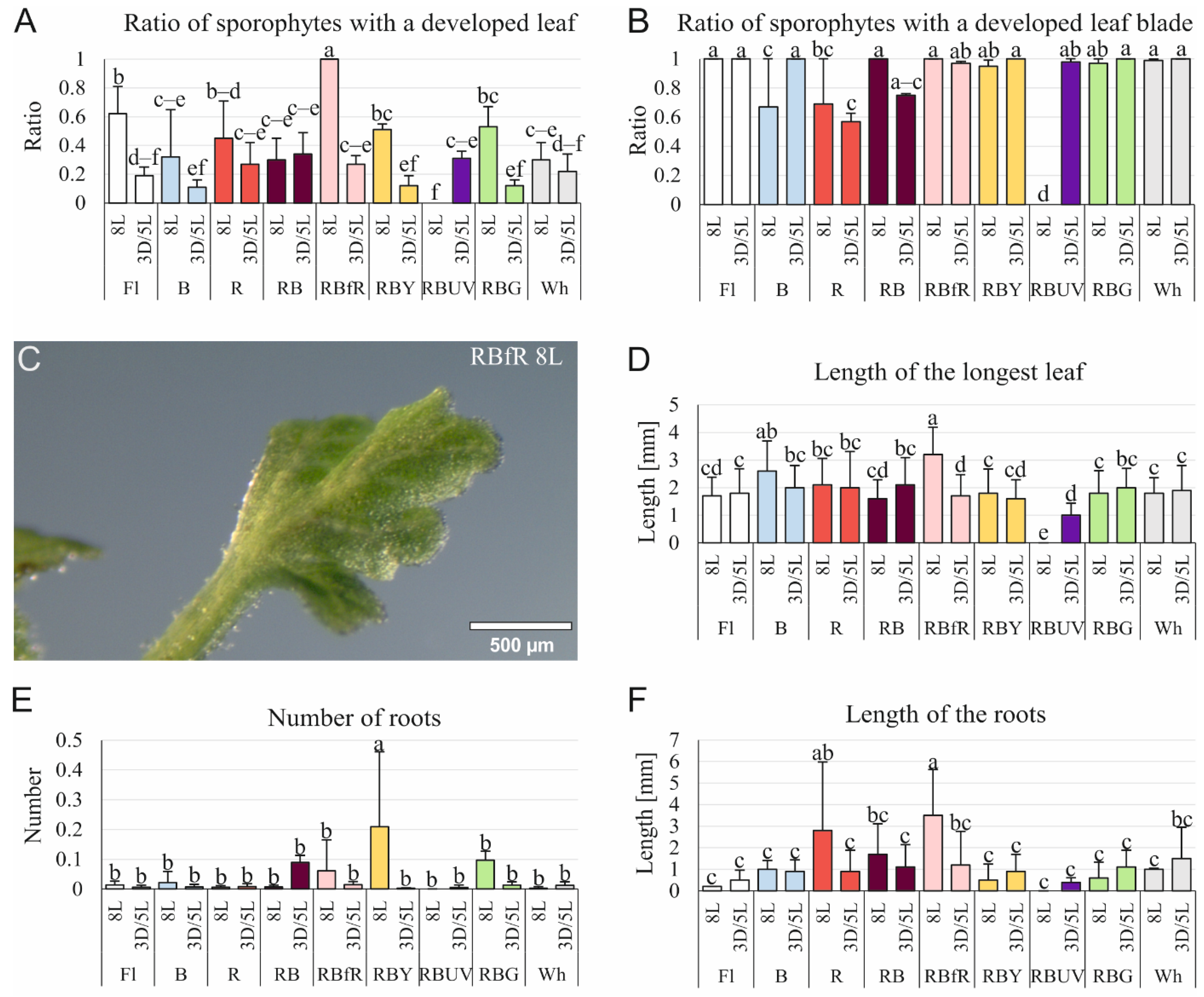 Cells 11 00486 g002 Cells 11 00486 g002