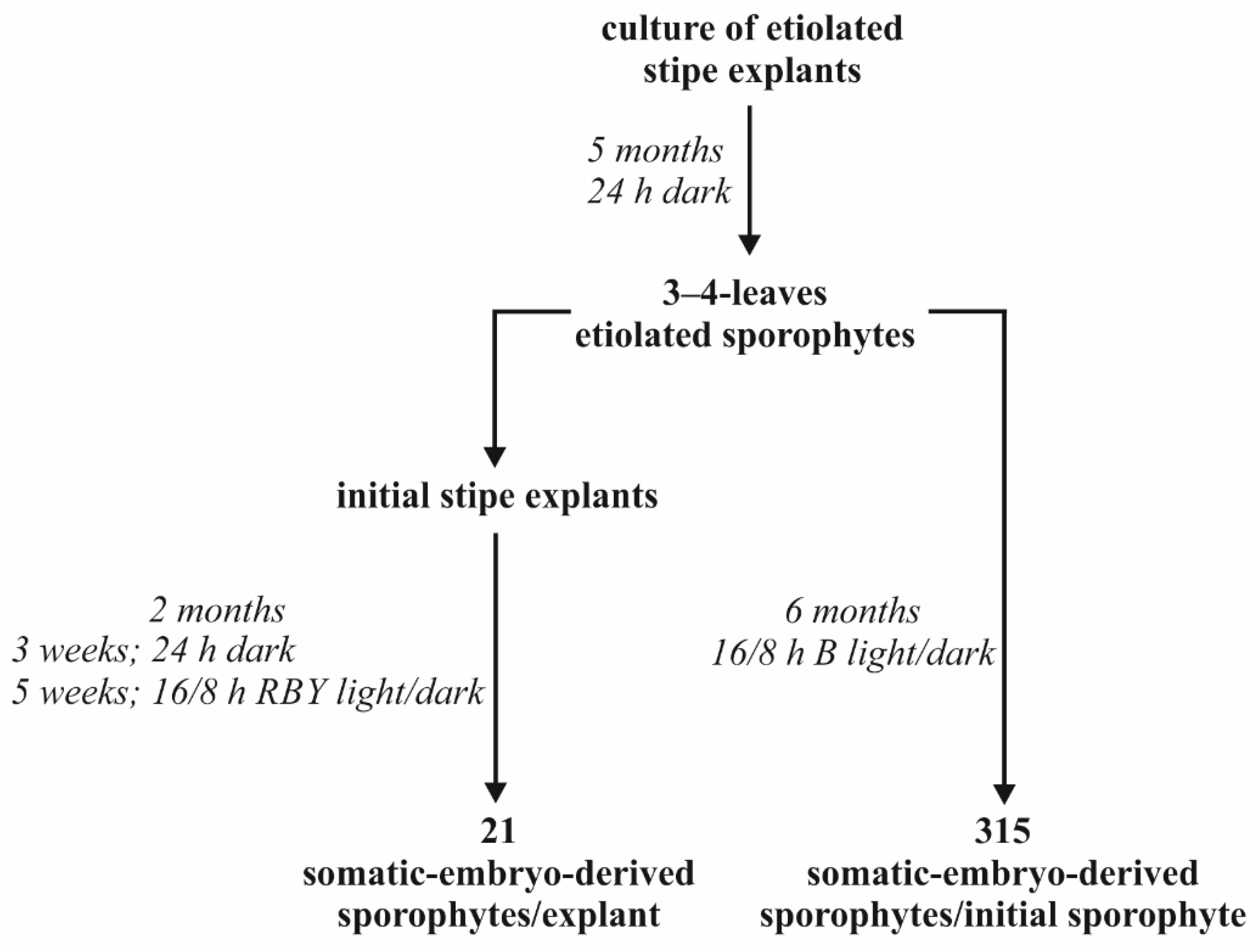 Cells 11 00486 g006 Cells 11 00486 g006