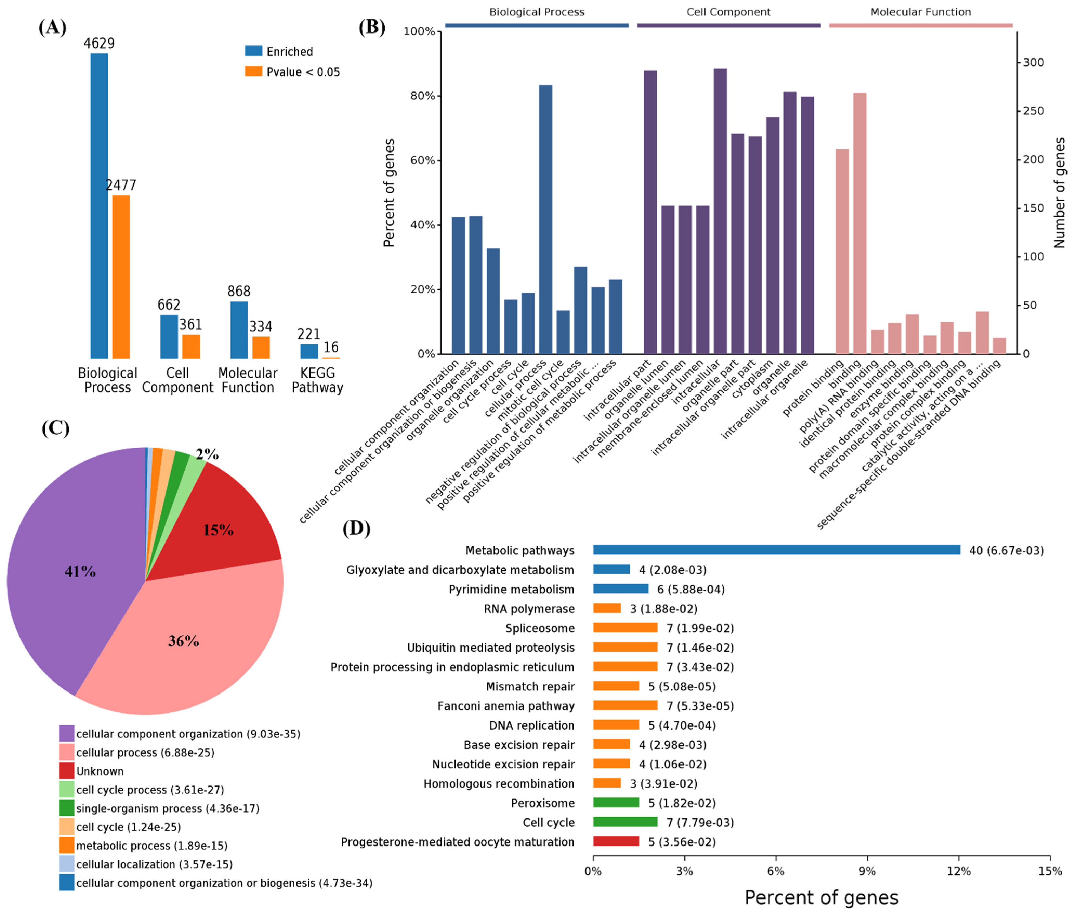 Cells 11 00487 g003 Cells 11 00487 g003