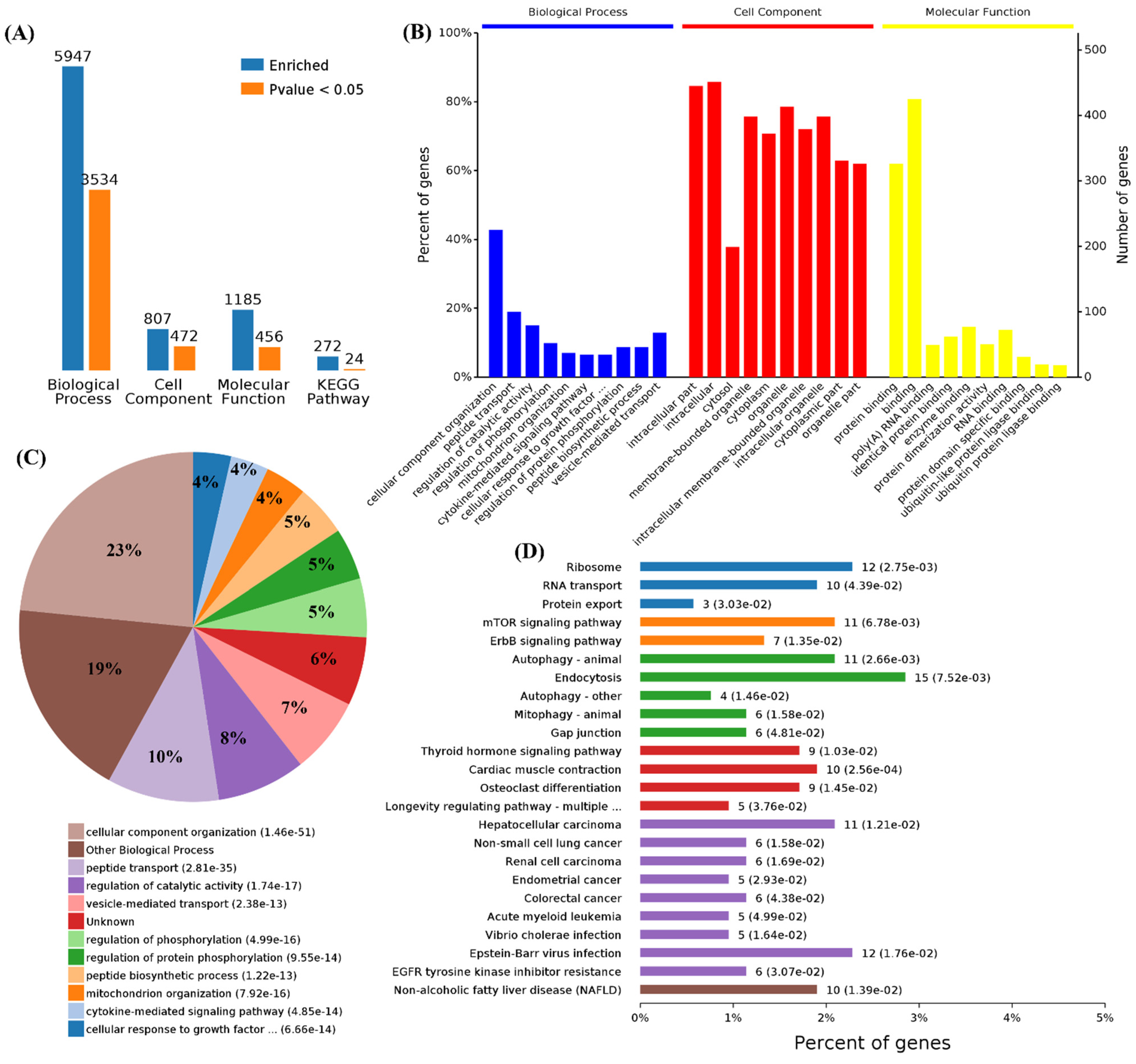 Cells 11 00487 g006 Cells 11 00487 g006