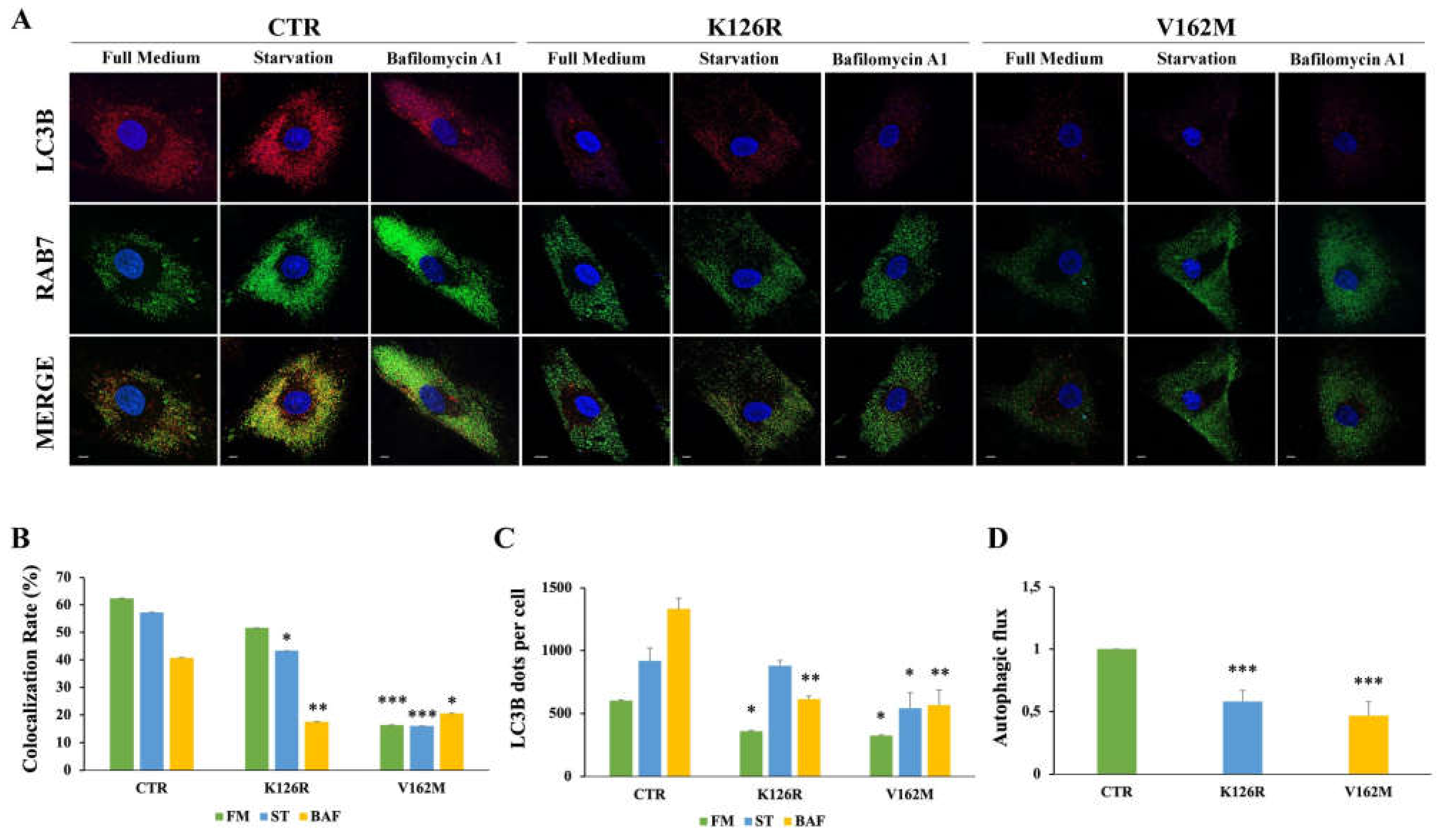 Cells 11 00496 g002