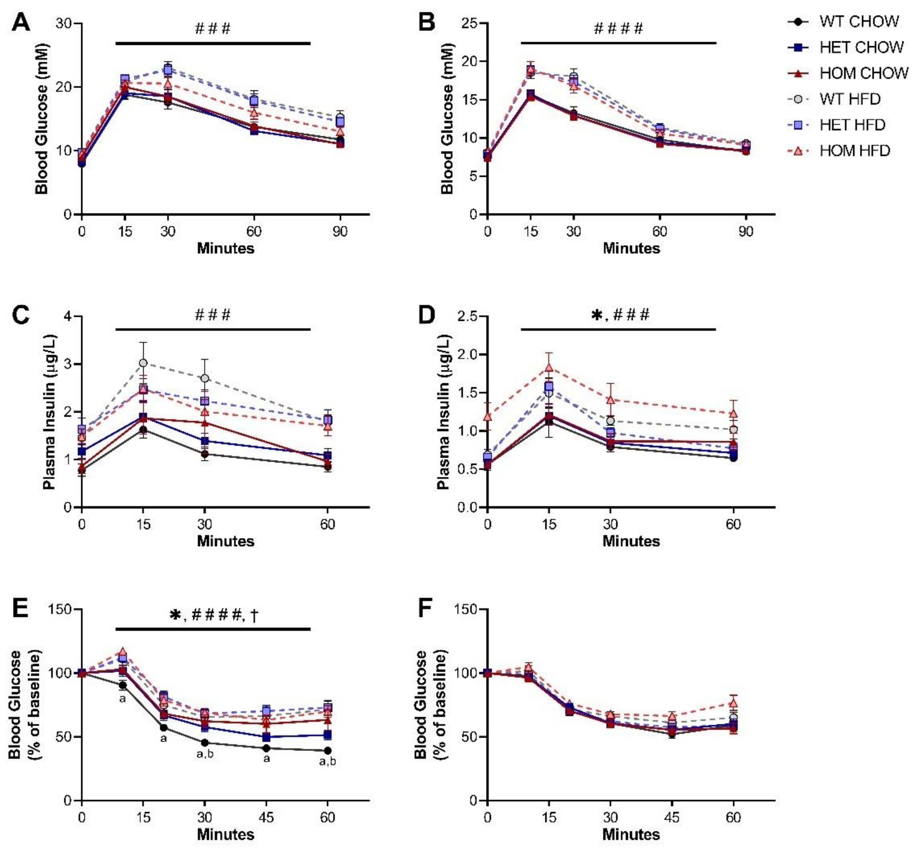 Cells 11 00497 g002 Cells 11 00497 g002