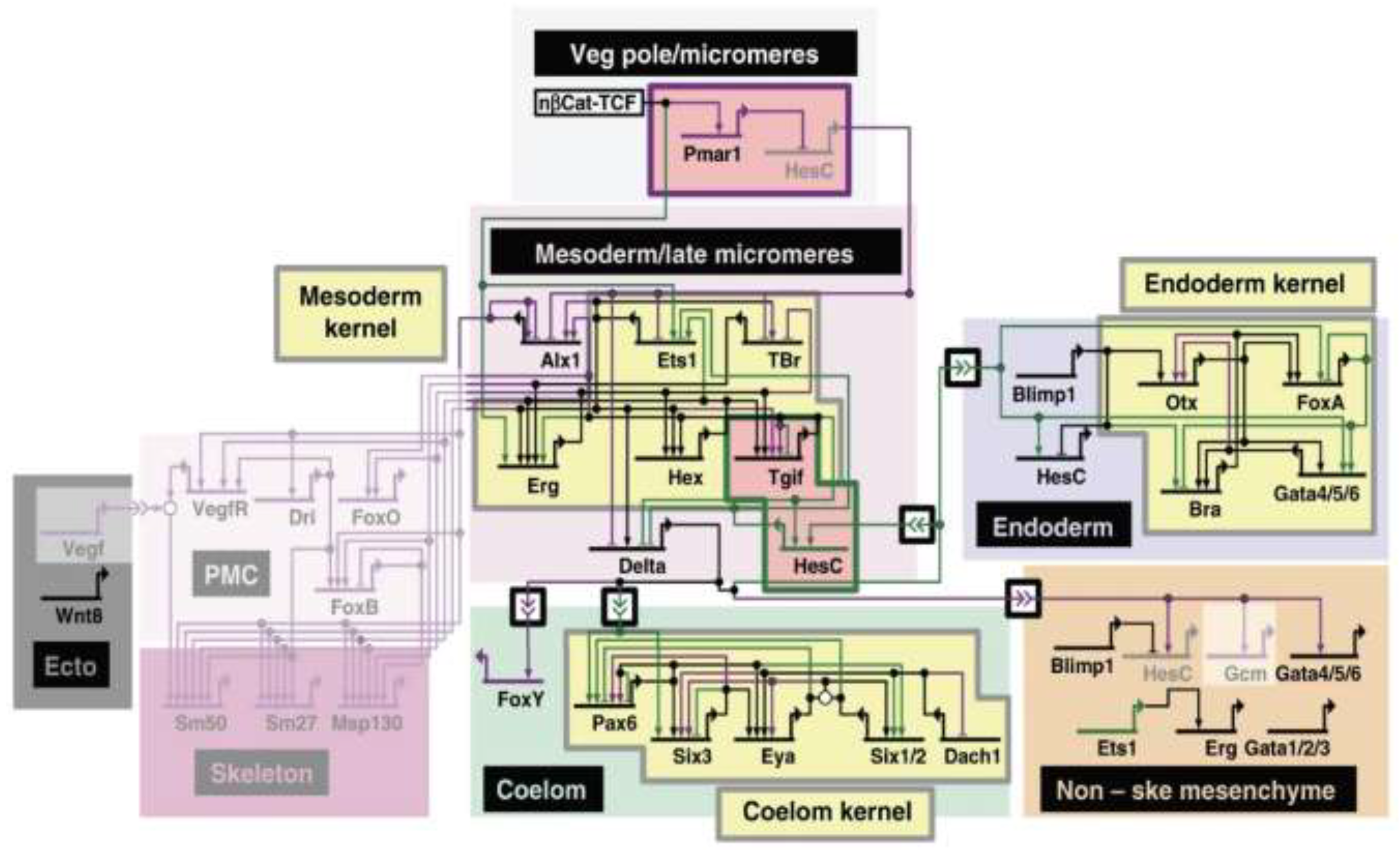 Cells 11 00510 g001 Cells 11 00510 g001