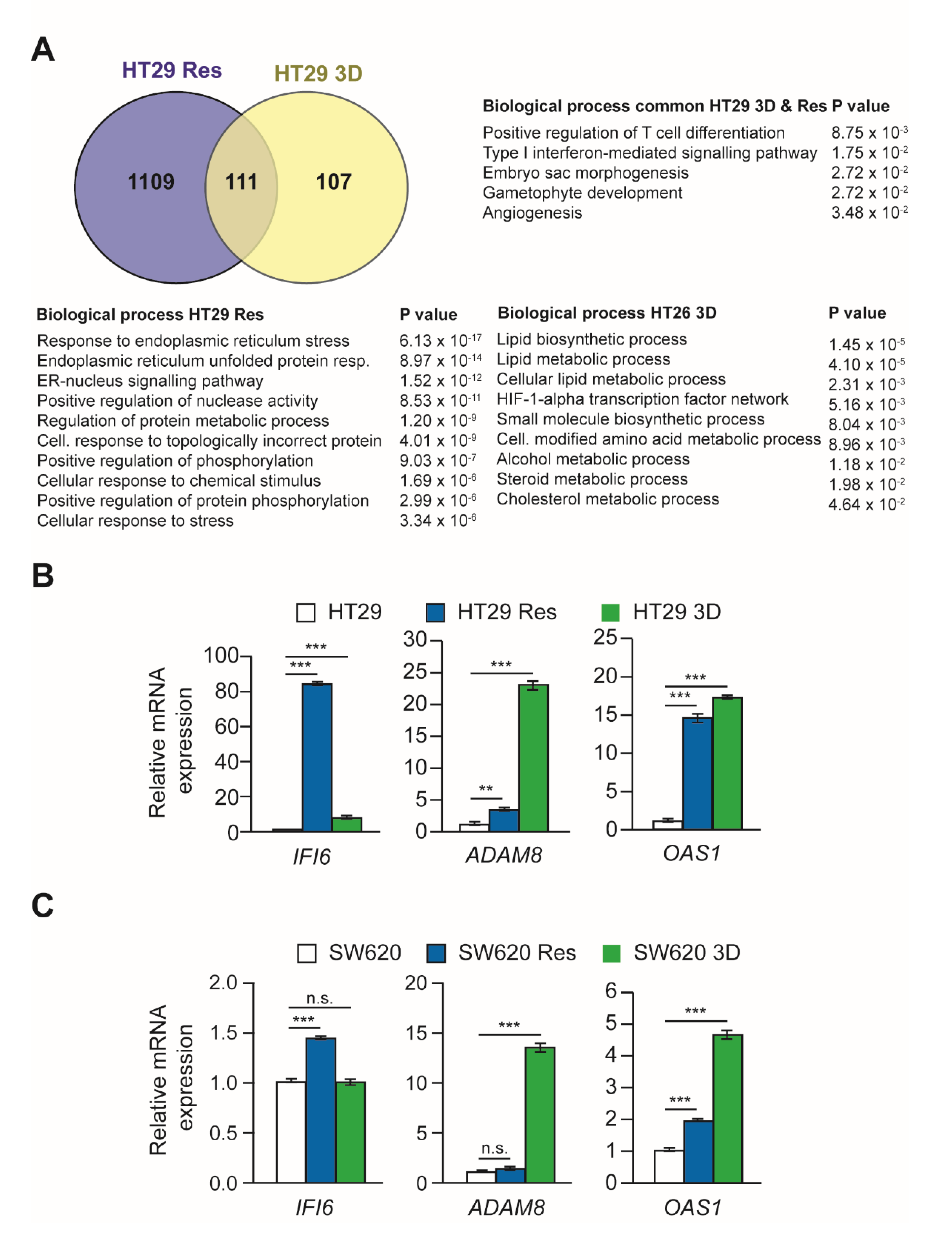 Cells 11 00511 g006 550