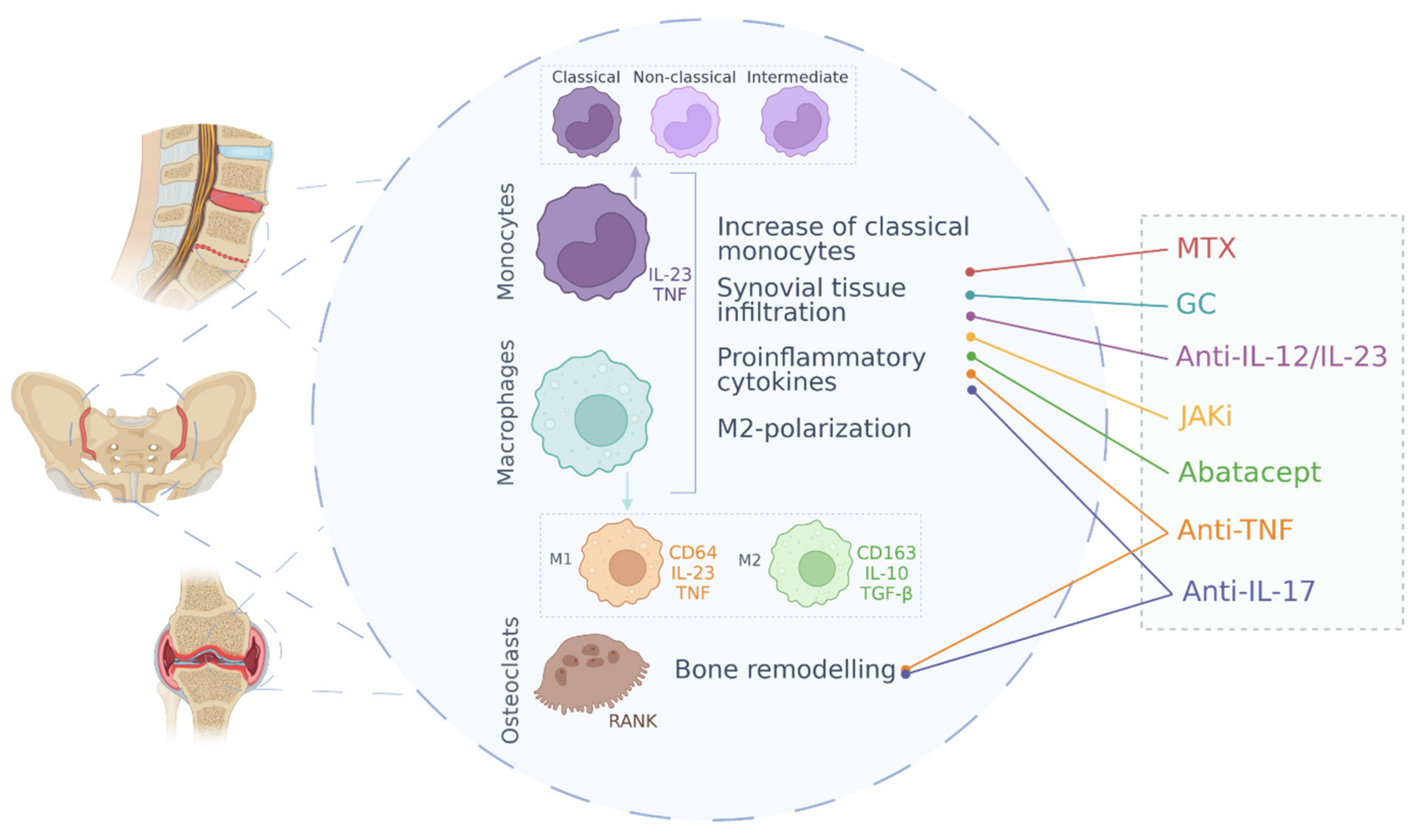 Cells 11 00515 g001 Cells 11 00515 g001