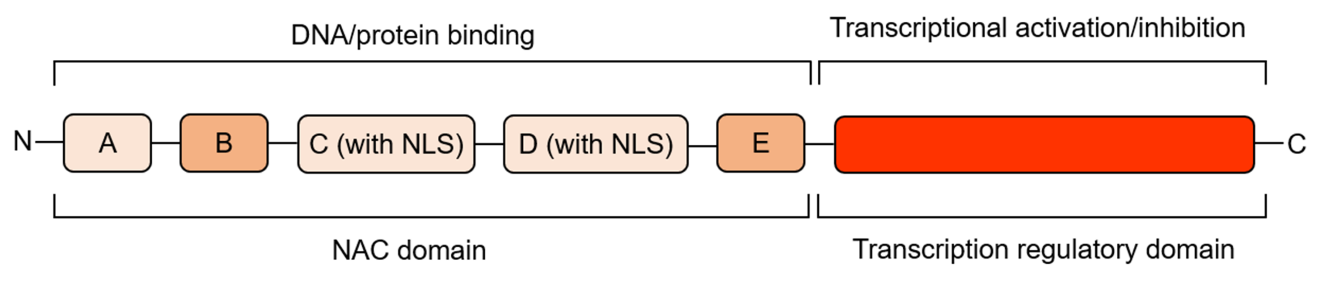 Cells 11 00525 g001 550