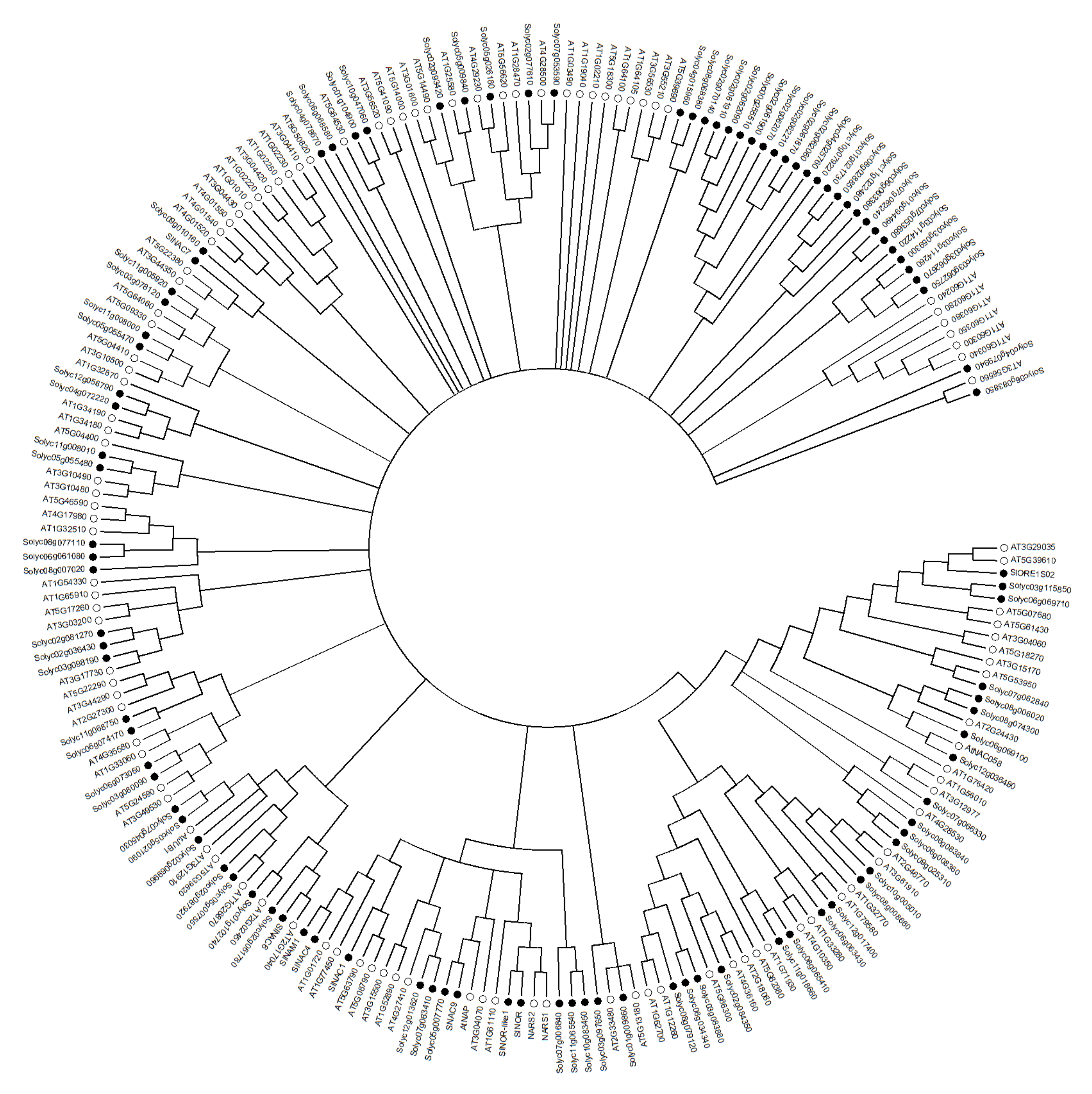 Cells 11 00525 g002 550