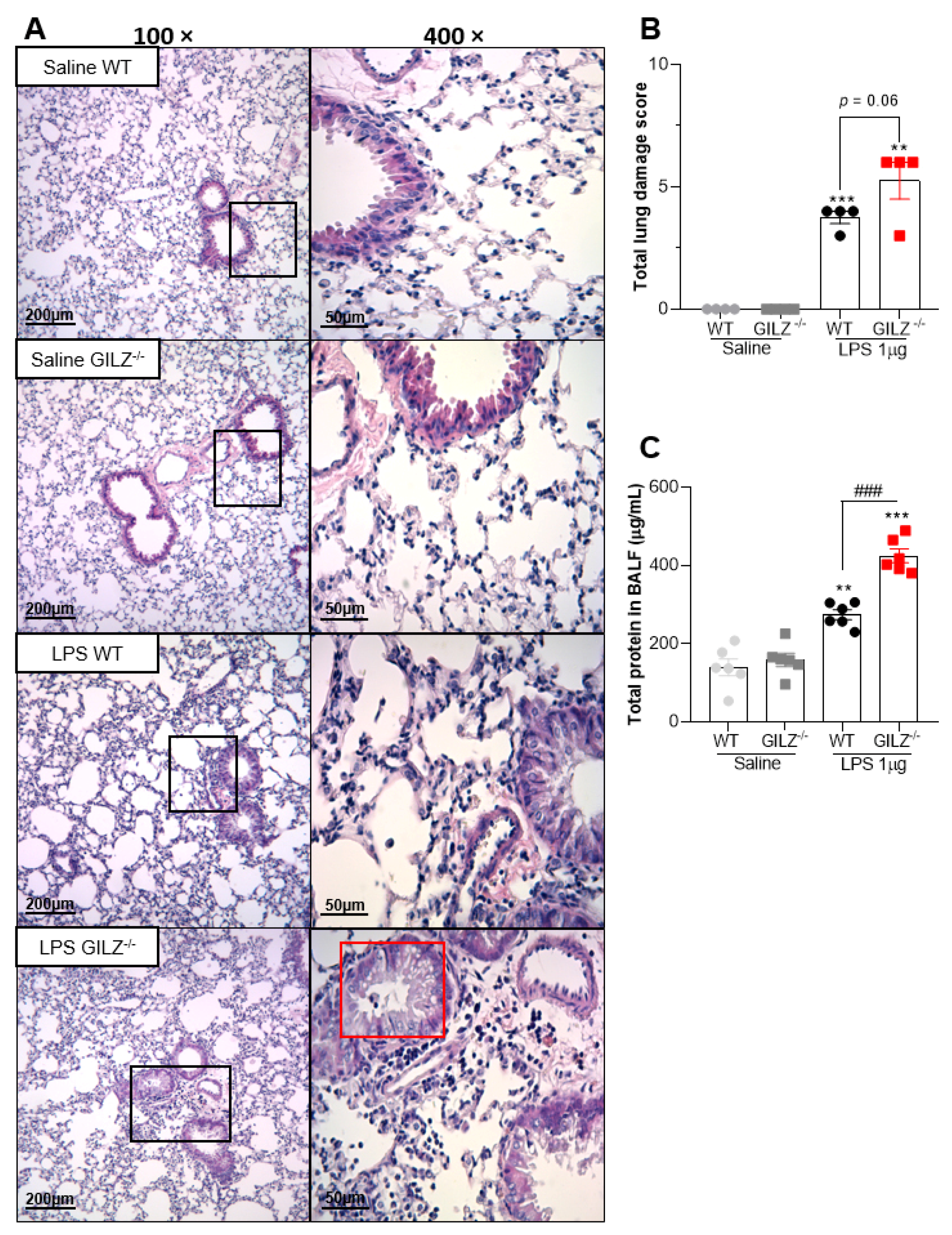 Cells 11 00532 g002 550