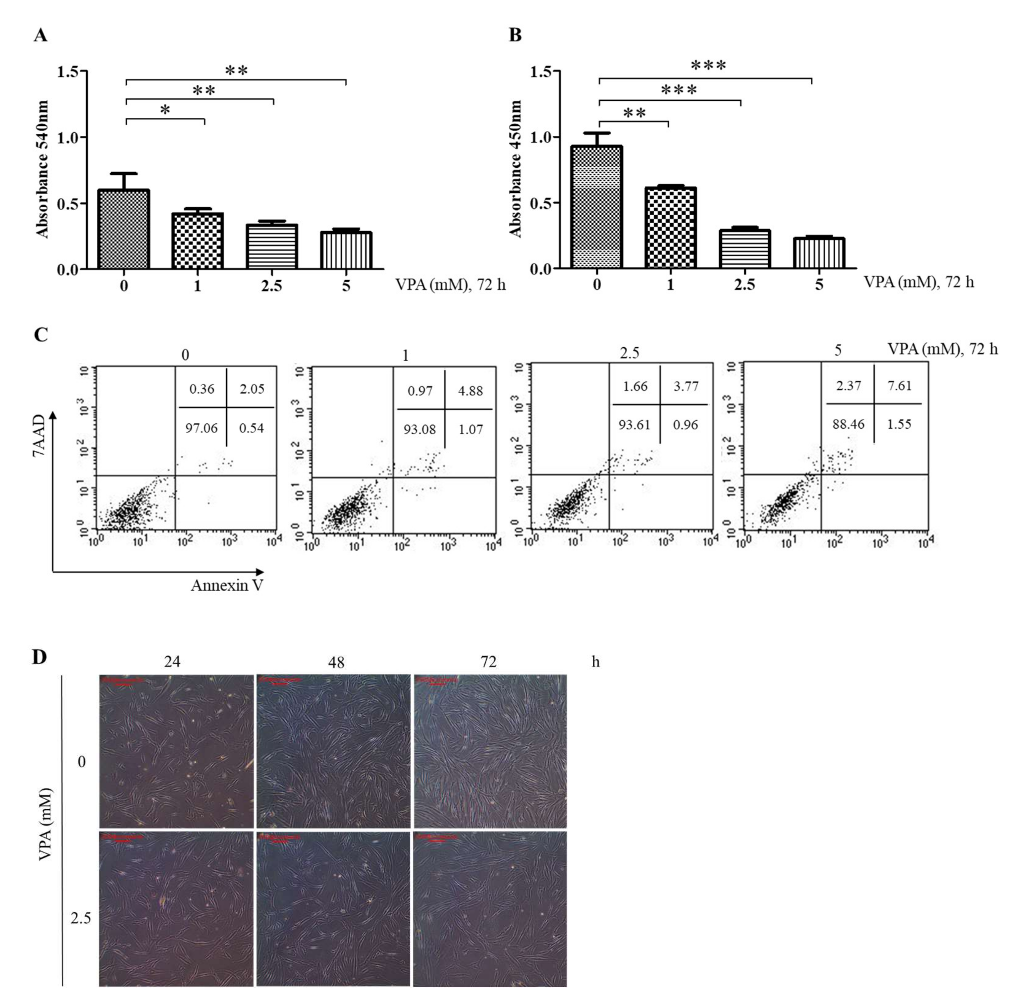 Cells 11 00534 g001 Cells 11 00534 g001