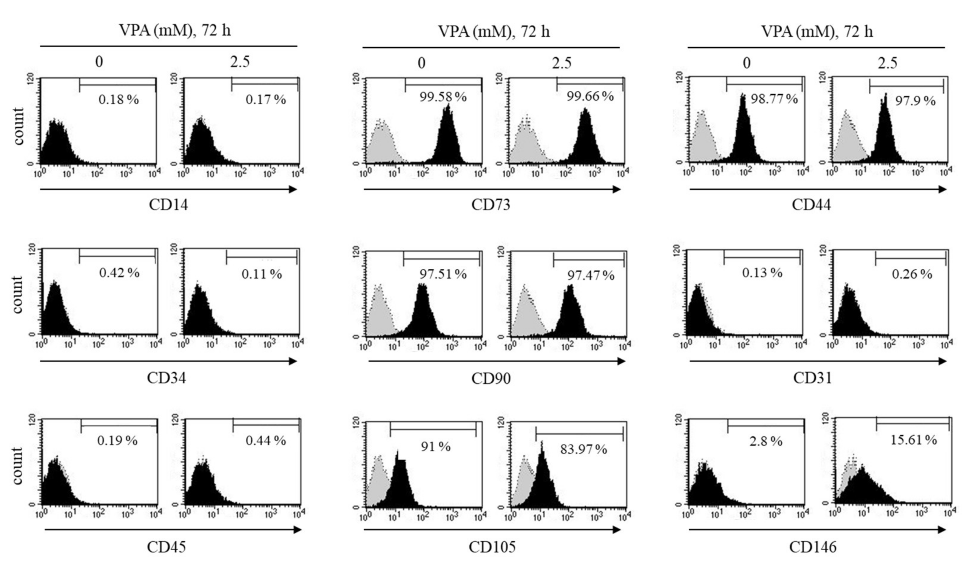 Cells 11 00534 g002 Cells 11 00534 g002