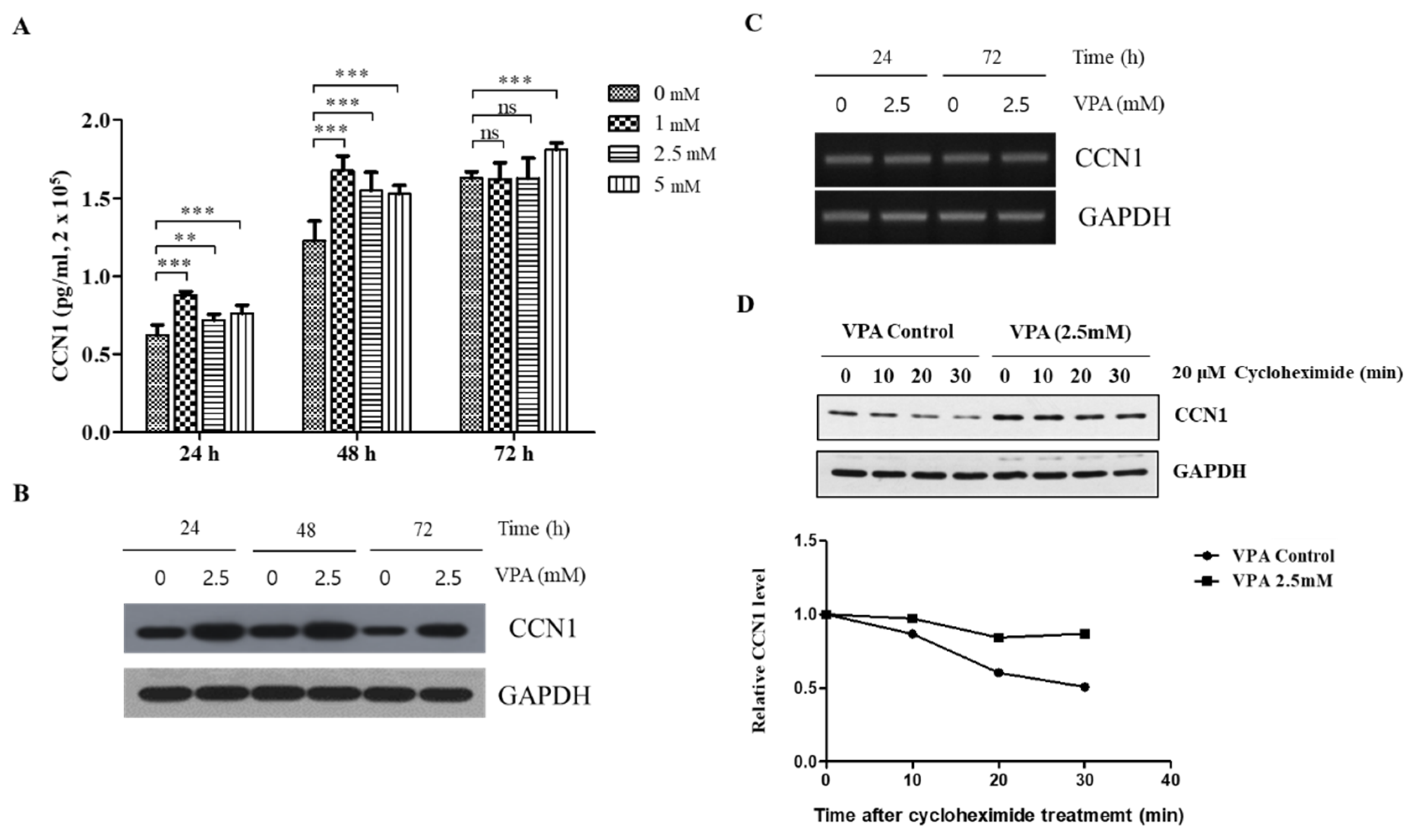 Cells 11 00534 g006 Cells 11 00534 g006