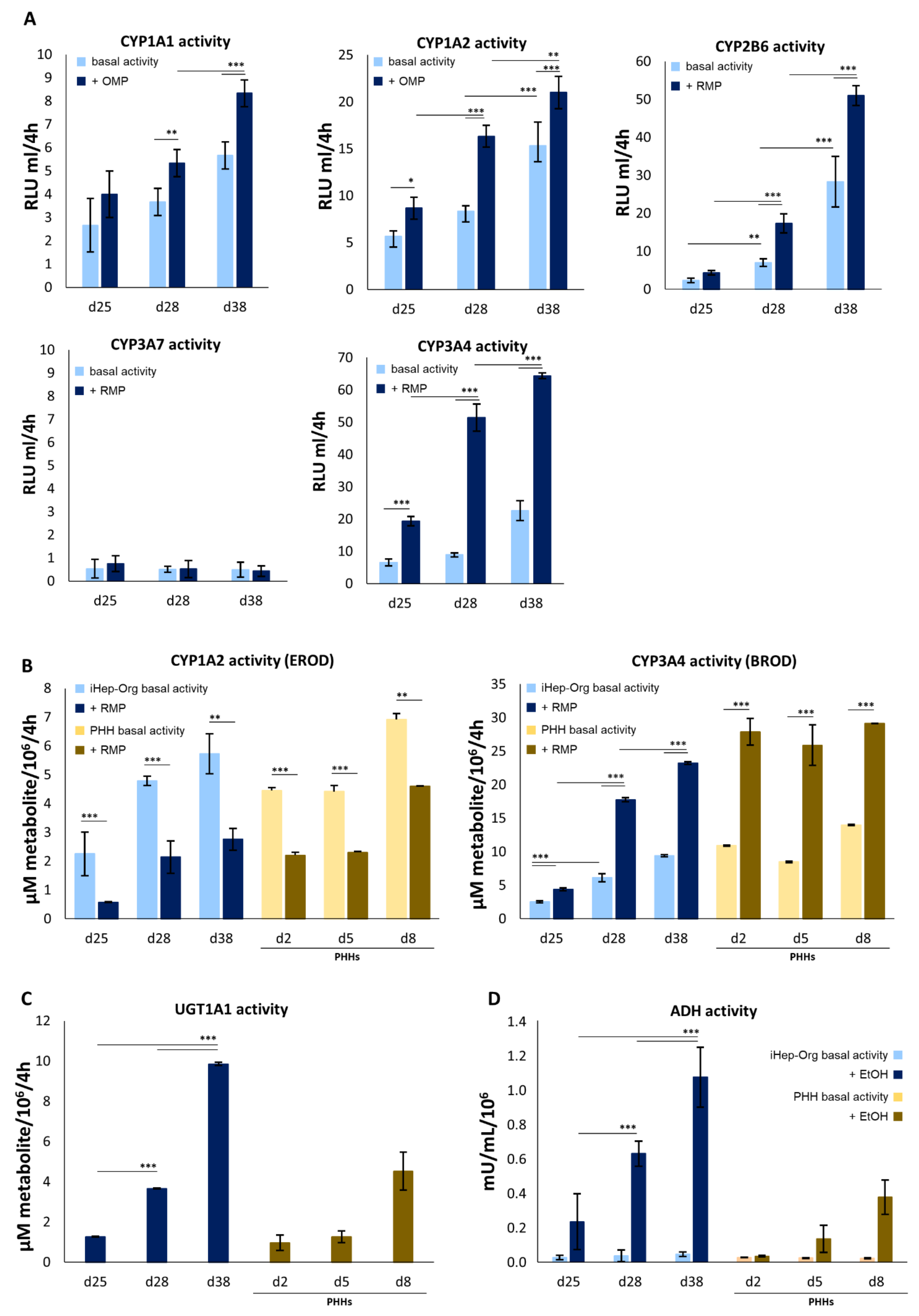 Cells 11 00537 g004 Cells 11 00537 g004