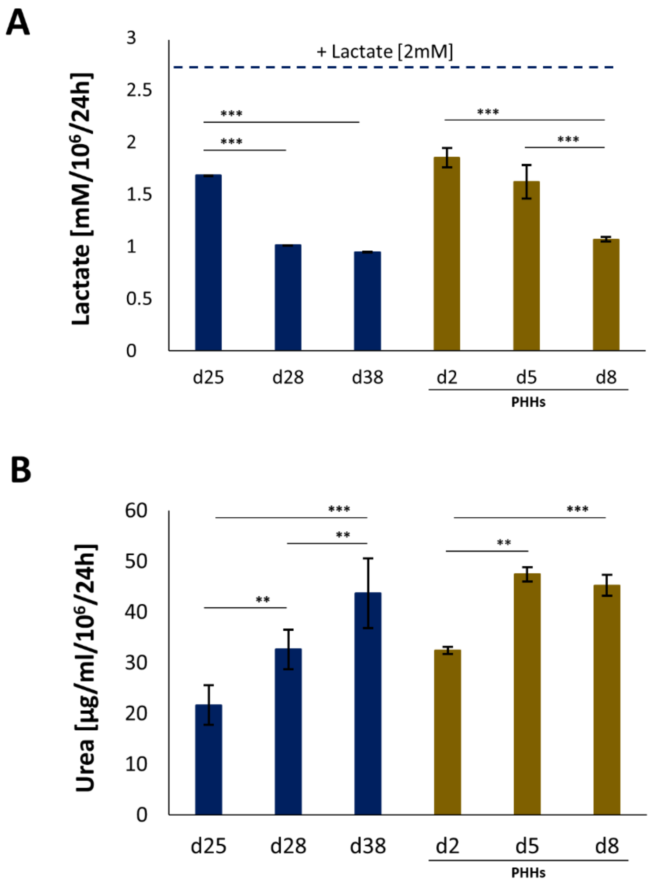 Cells 11 00537 g006 Cells 11 00537 g006