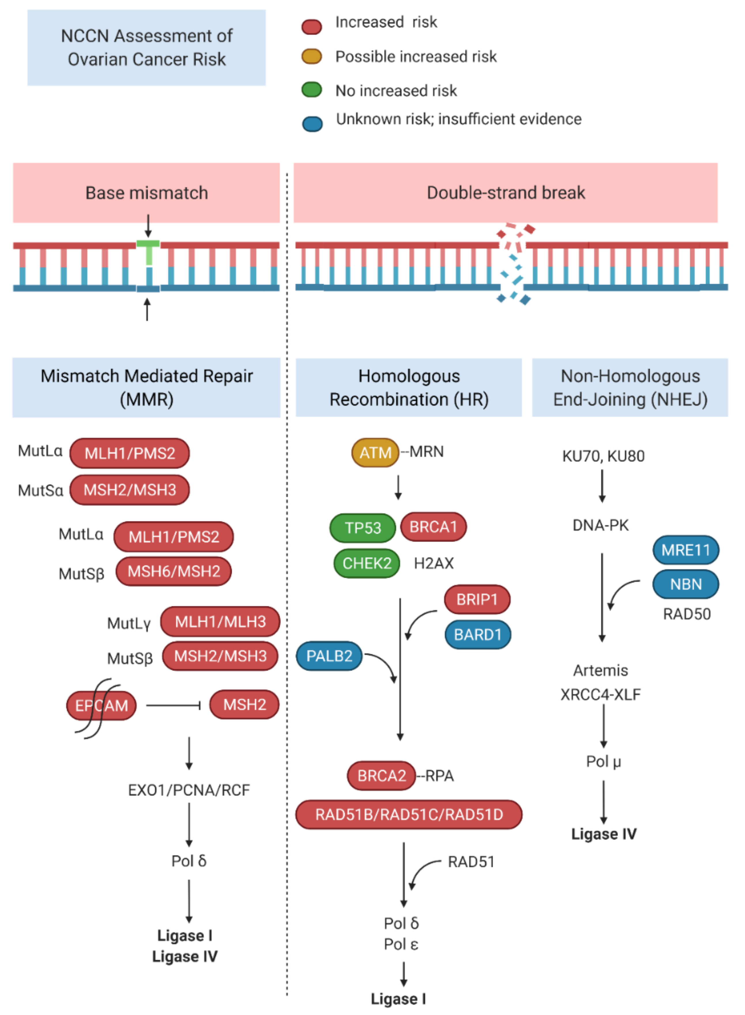 Cells 11 00539 g001 Cells 11 00539 g001