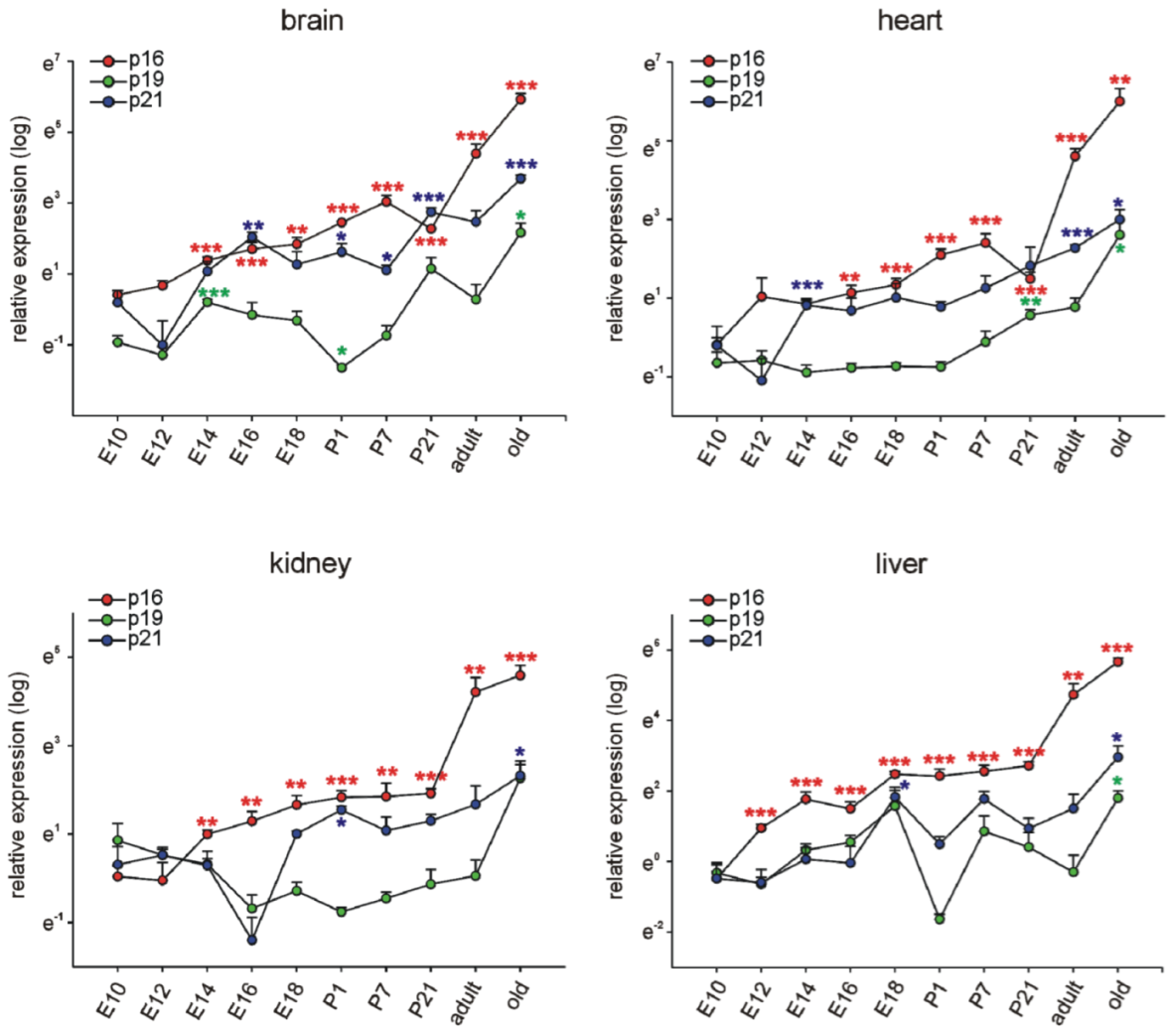 Cells 11 00541 g001 550