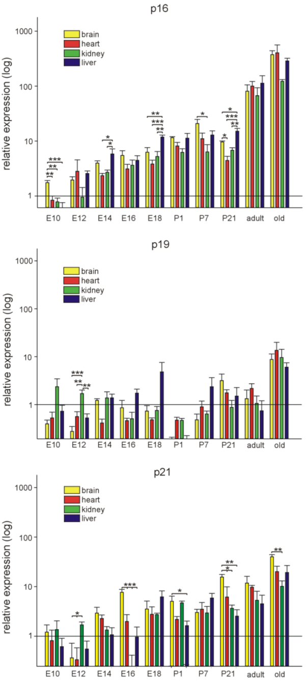 Cells 11 00541 g002 550
