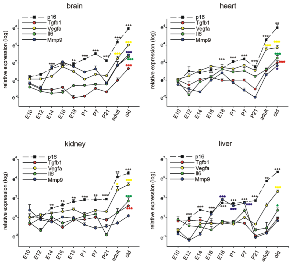 Cells 11 00541 g007 550
