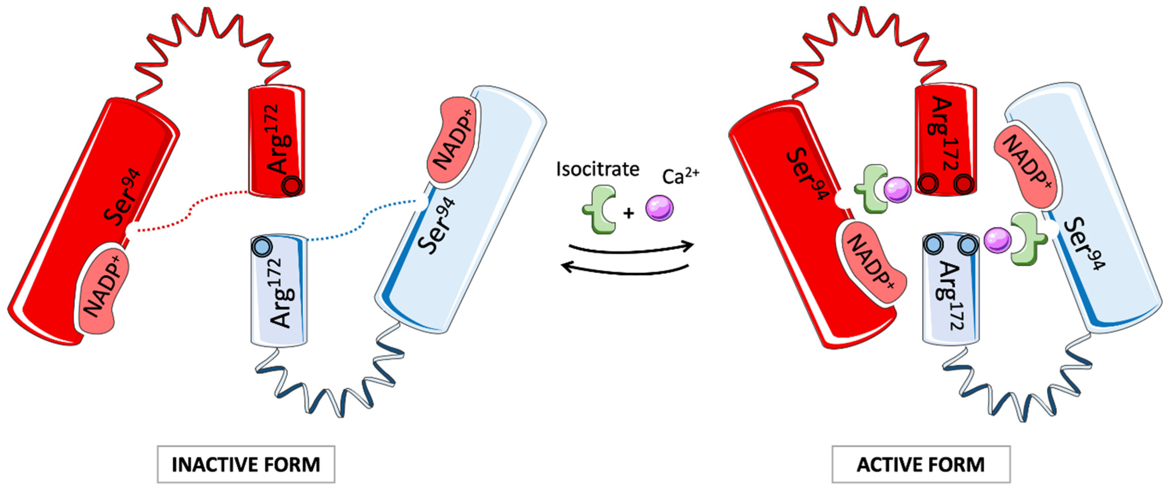 Cells 11 00543 g002 Cells 11 00543 g002