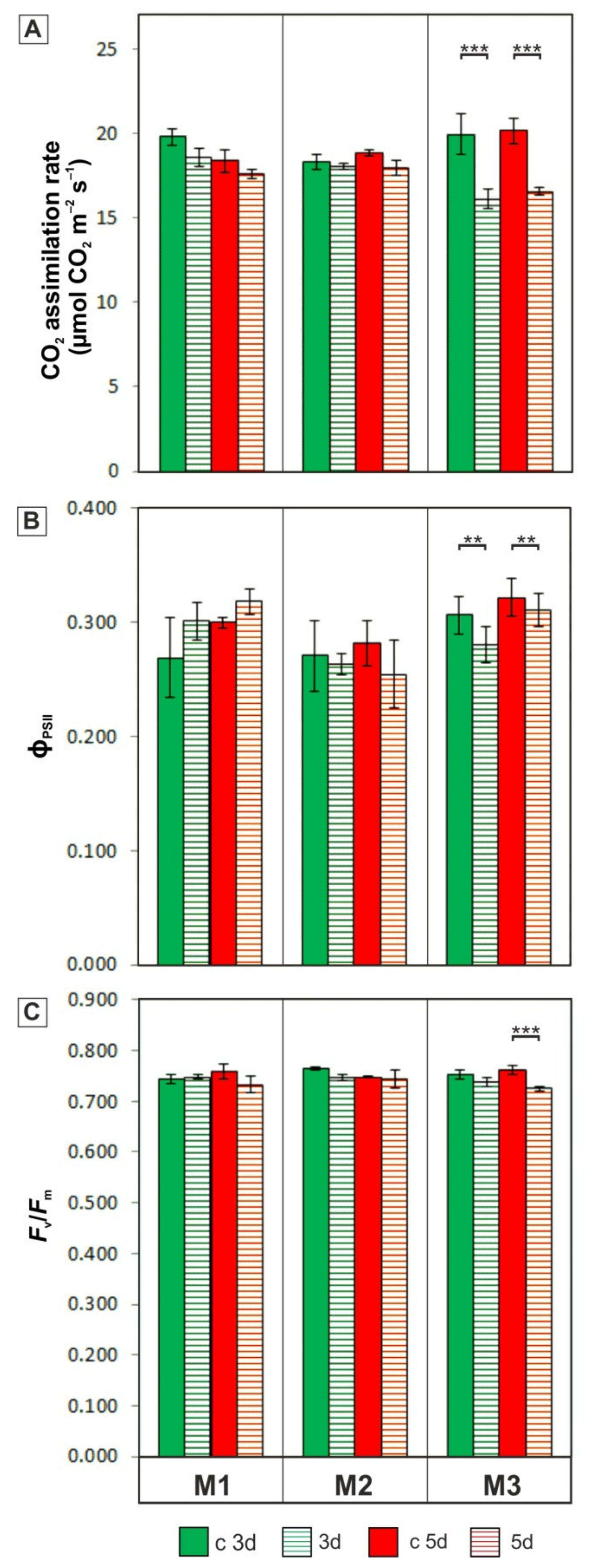Cells 11 00547 g004 Cells 11 00547 g004