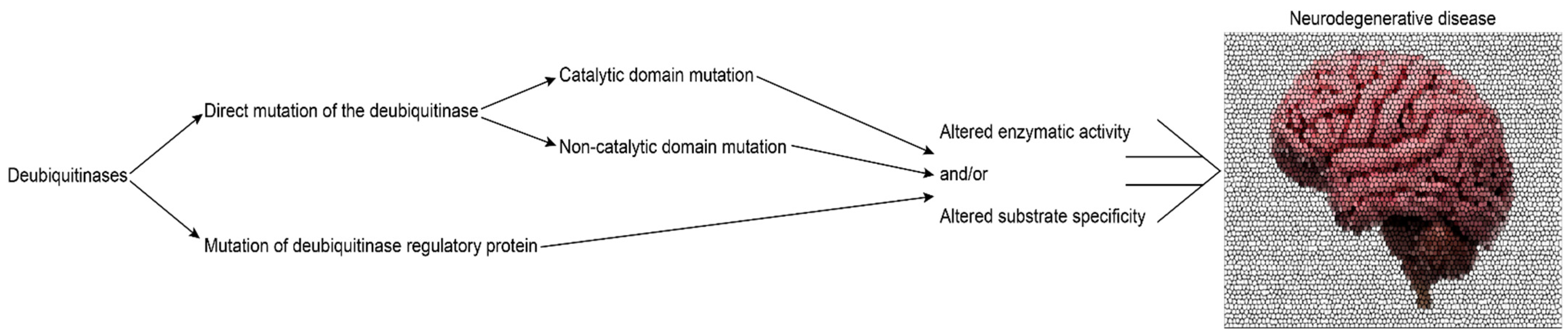 Cells 11 00556 g001 Cells 11 00556 g001